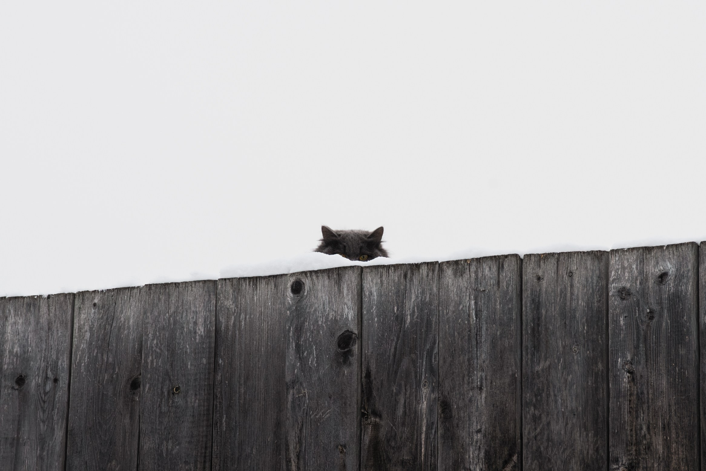 Гуляю то тут то там. Photographer Alik Melkonyan