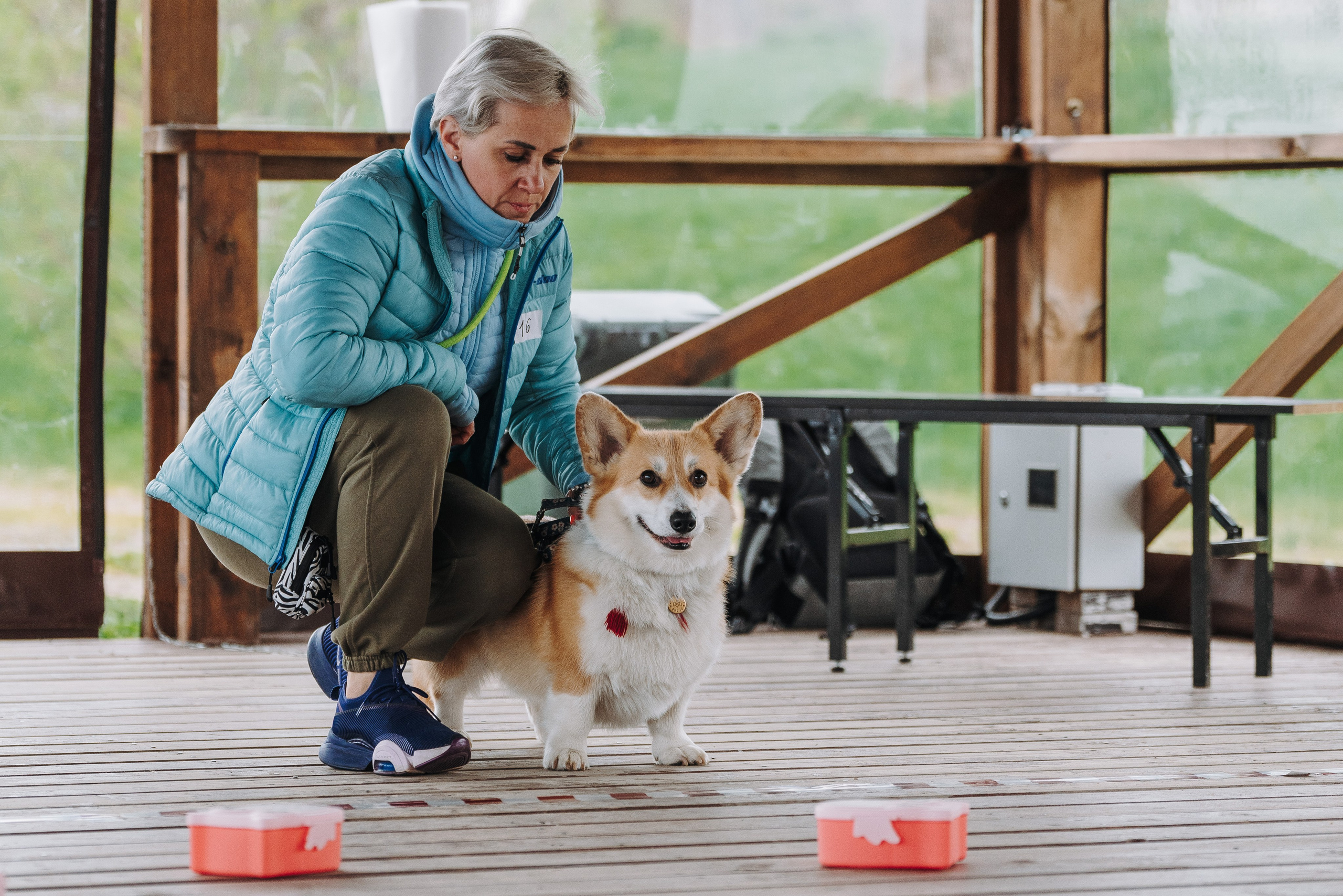 Соревнования по ноузворку в Лосево. Фотограф анималист в Спб недорого Олеся Майорова