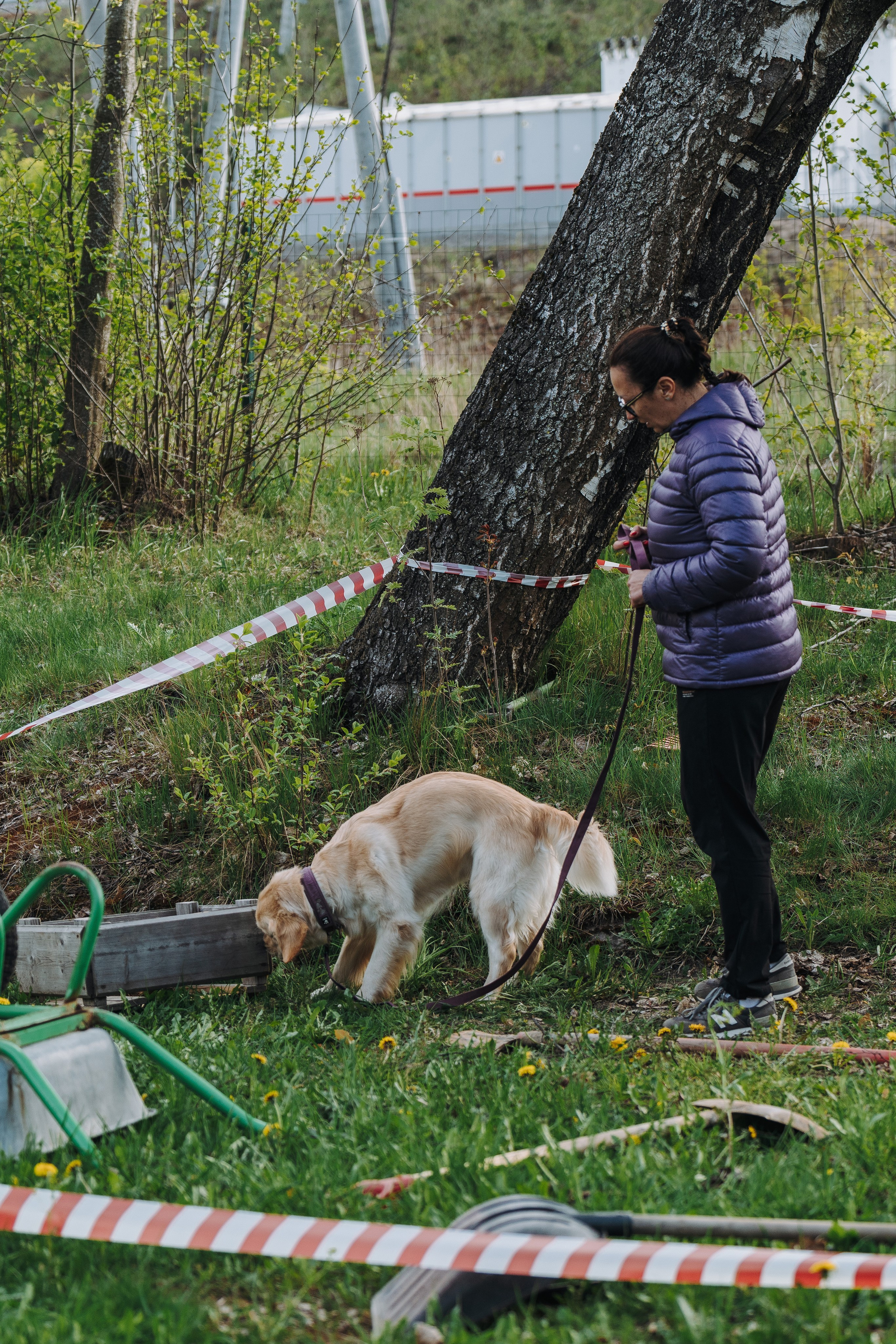 Соревнования по ноузворку в Лосево. Фотограф анималист в Спб недорого Олеся Майорова