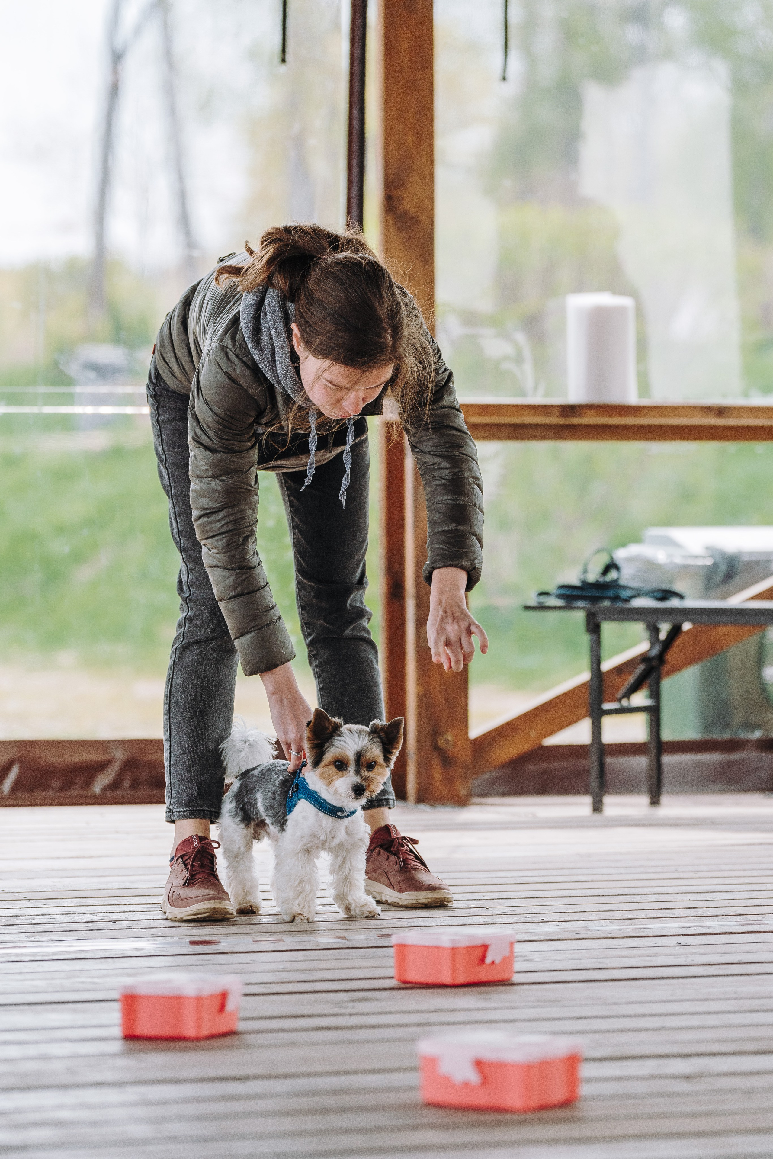 Соревнования по ноузворку в Лосево. Фотограф анималист в Спб недорого Олеся Майорова