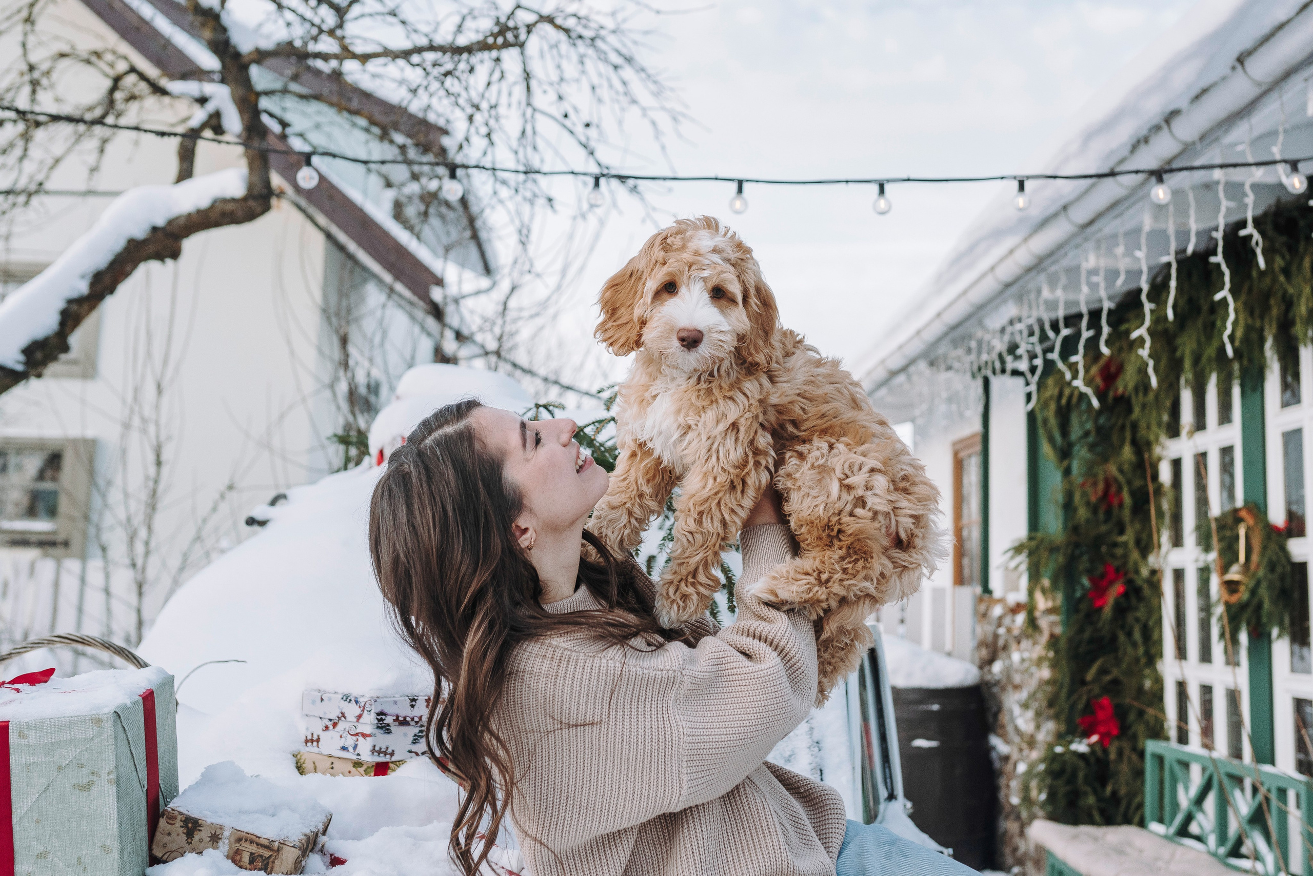Мёрфи, Таня и Антон. Фотограф анималист в Спб недорого Олеся Майорова