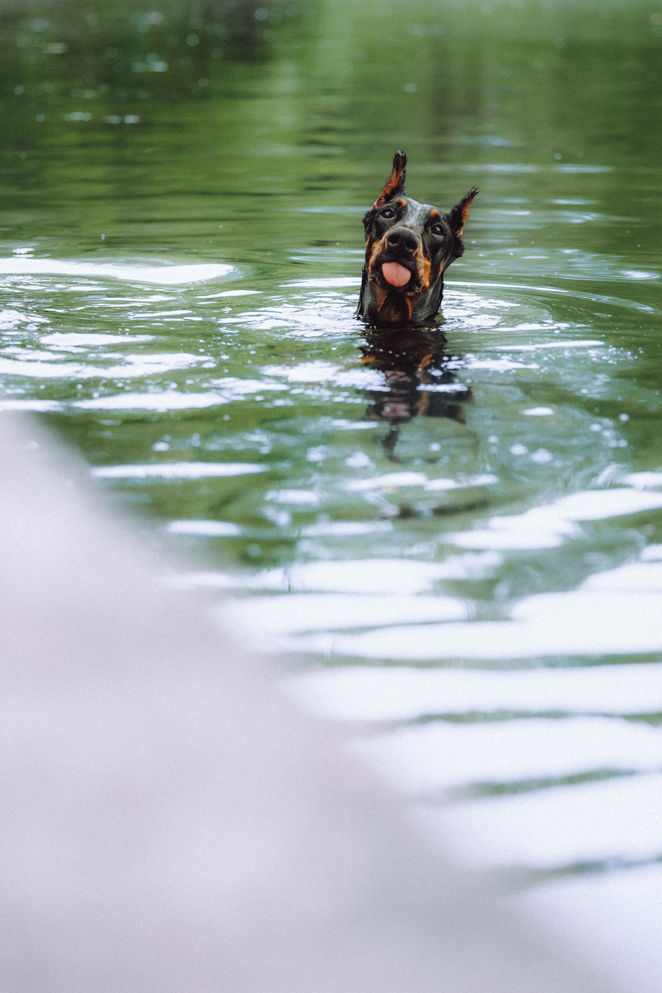 Паша, Хайди и Тея