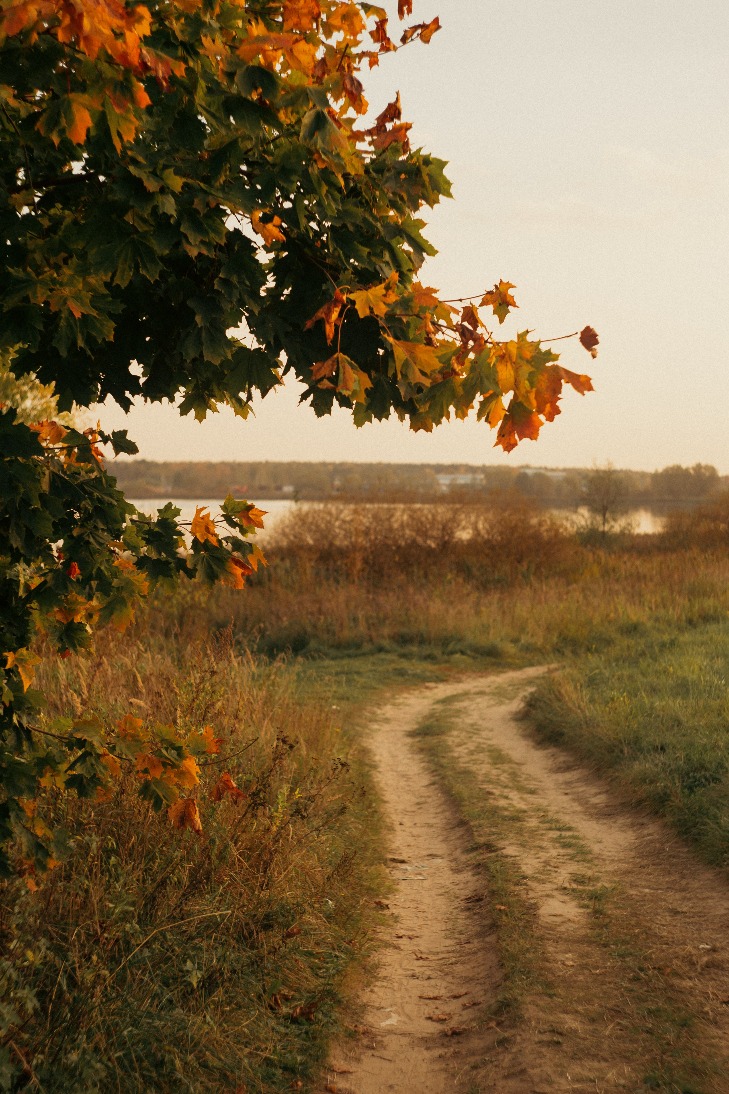 Сентябрь 2023. Efremovaphoto.ru