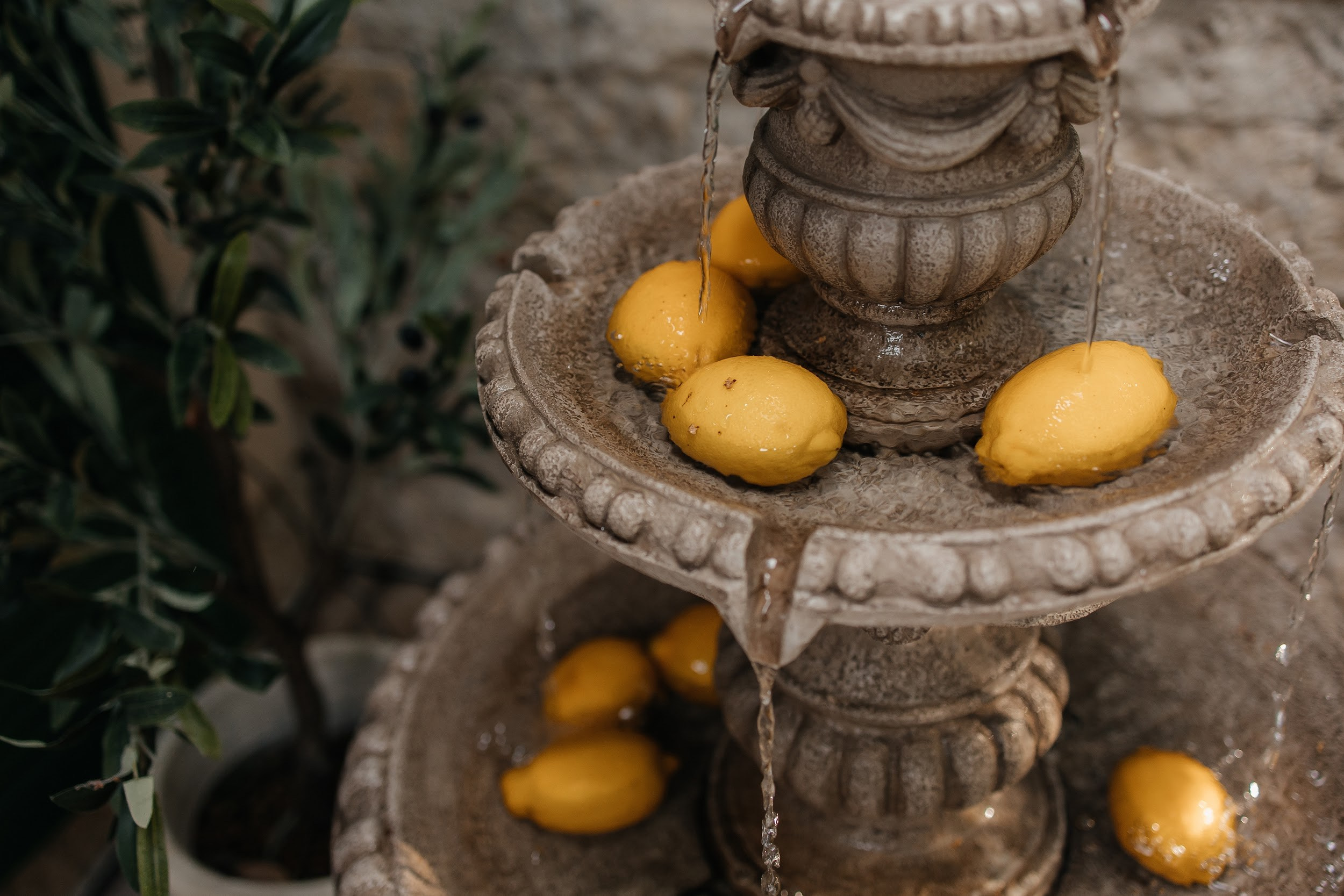 «Италия». Vmeste.Klassno