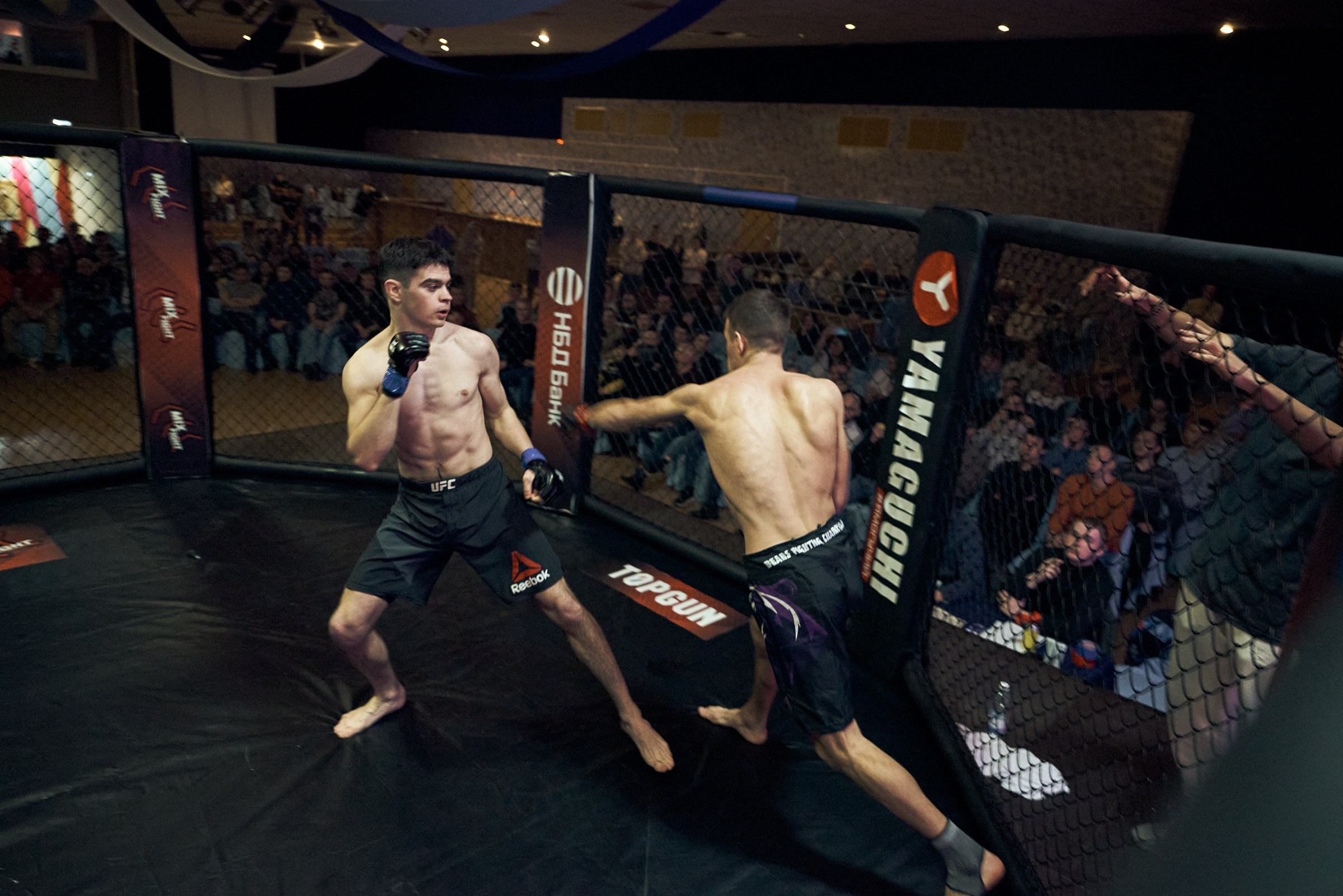 Бои. Маляревич Дмитрий свадебный фотограф