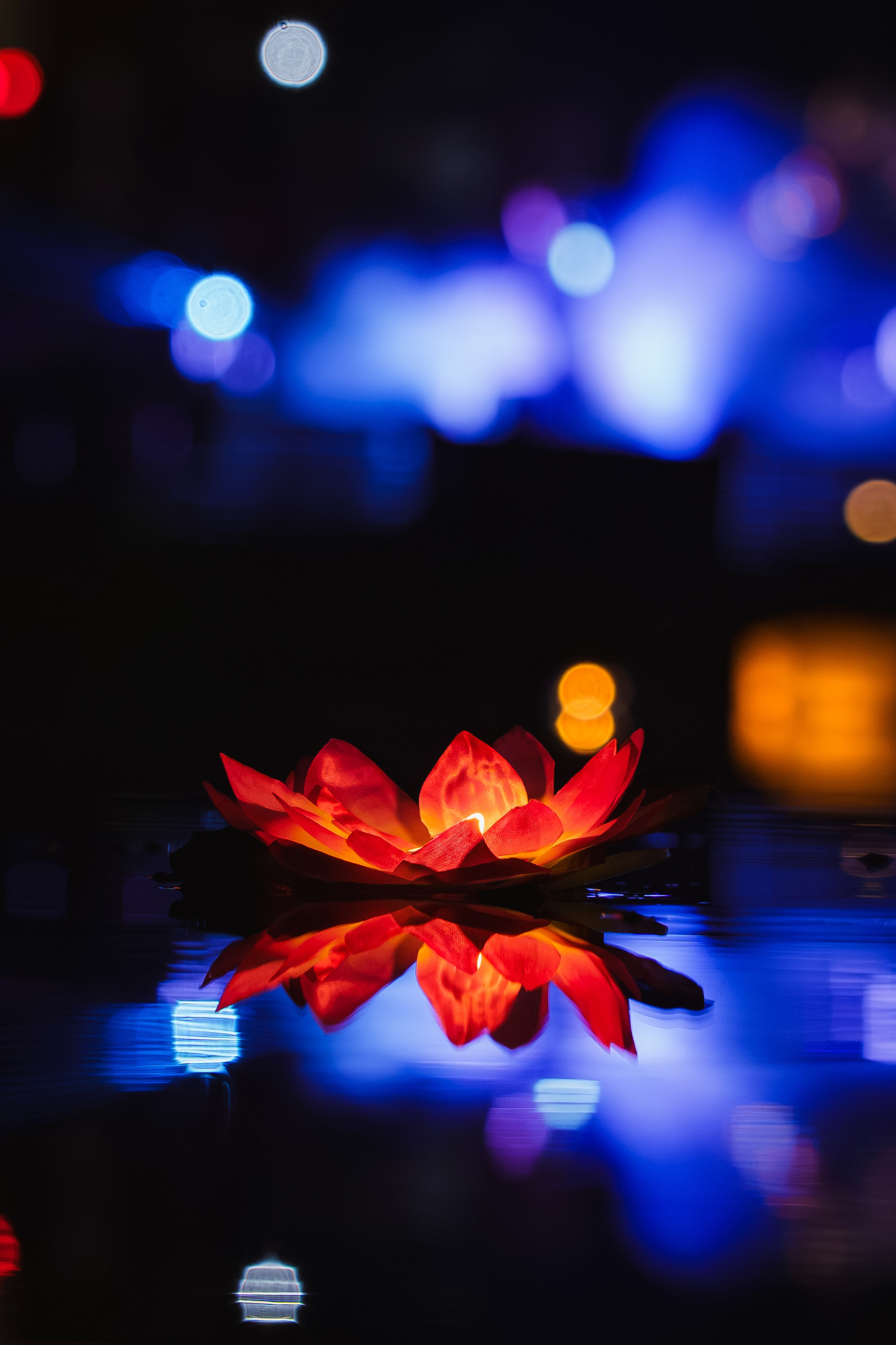 Фото-прогулка. Пенкин Александр