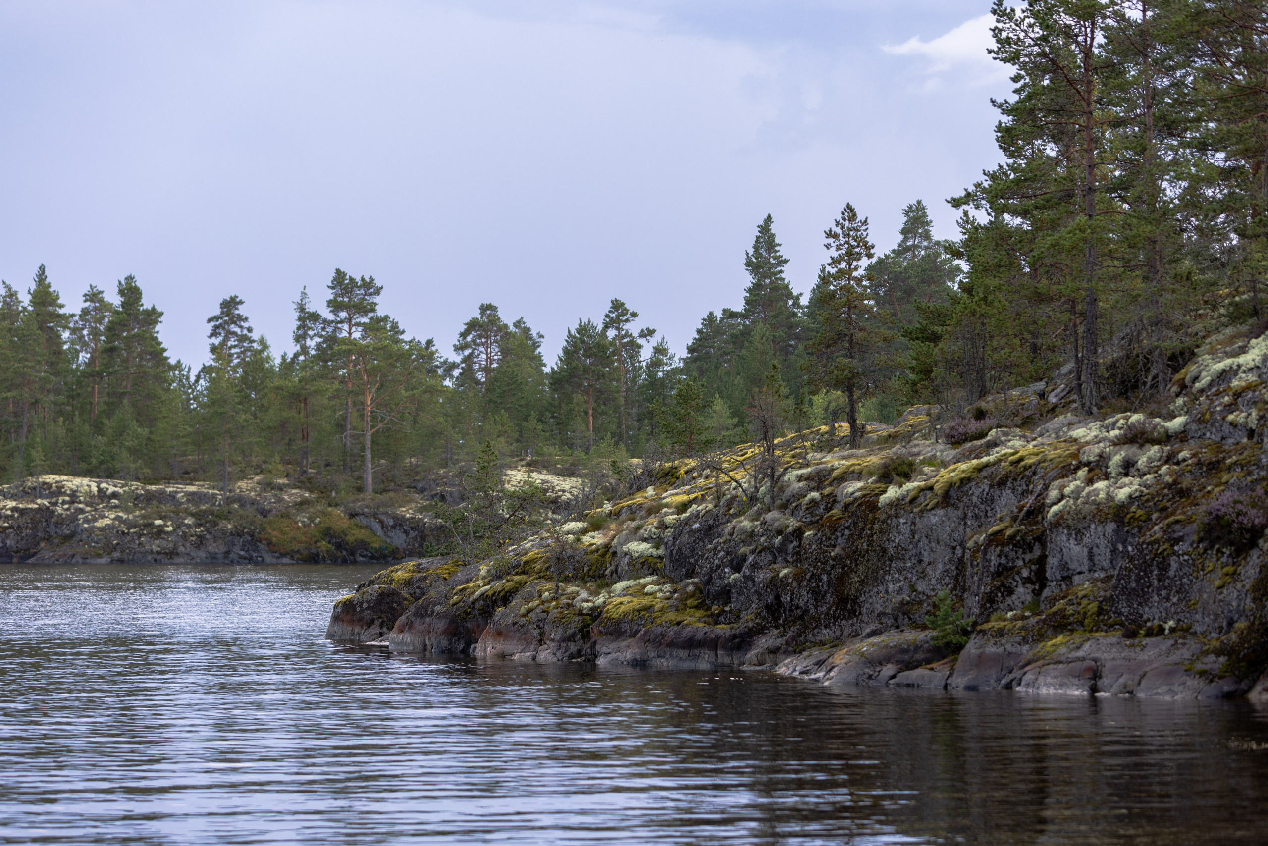 Ладога. Автомобильная фотография в Санкт-Петербурге