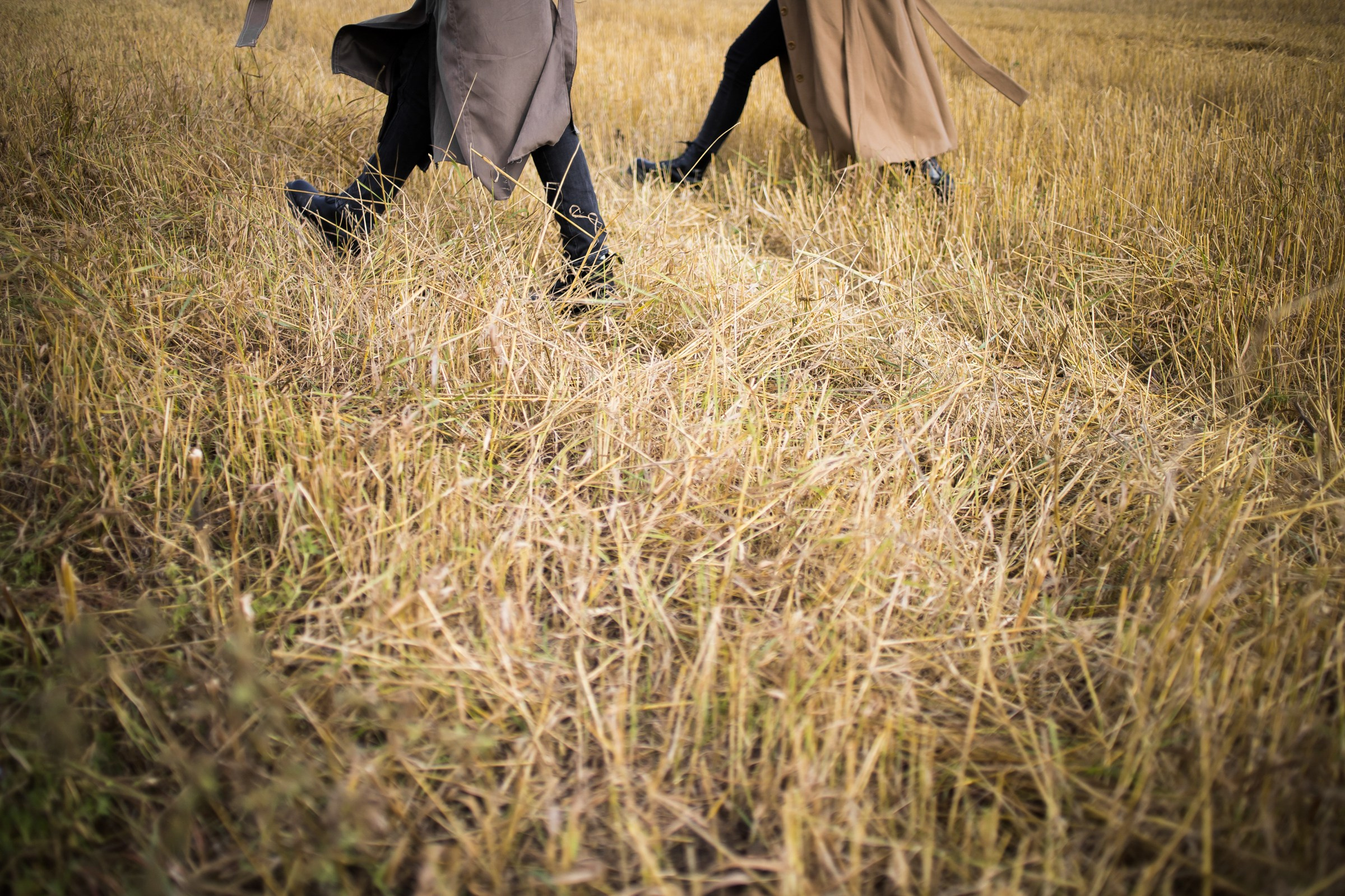 Гулять по полям. Свадебный фотограф Марьям Сайфулина г. Красноярск