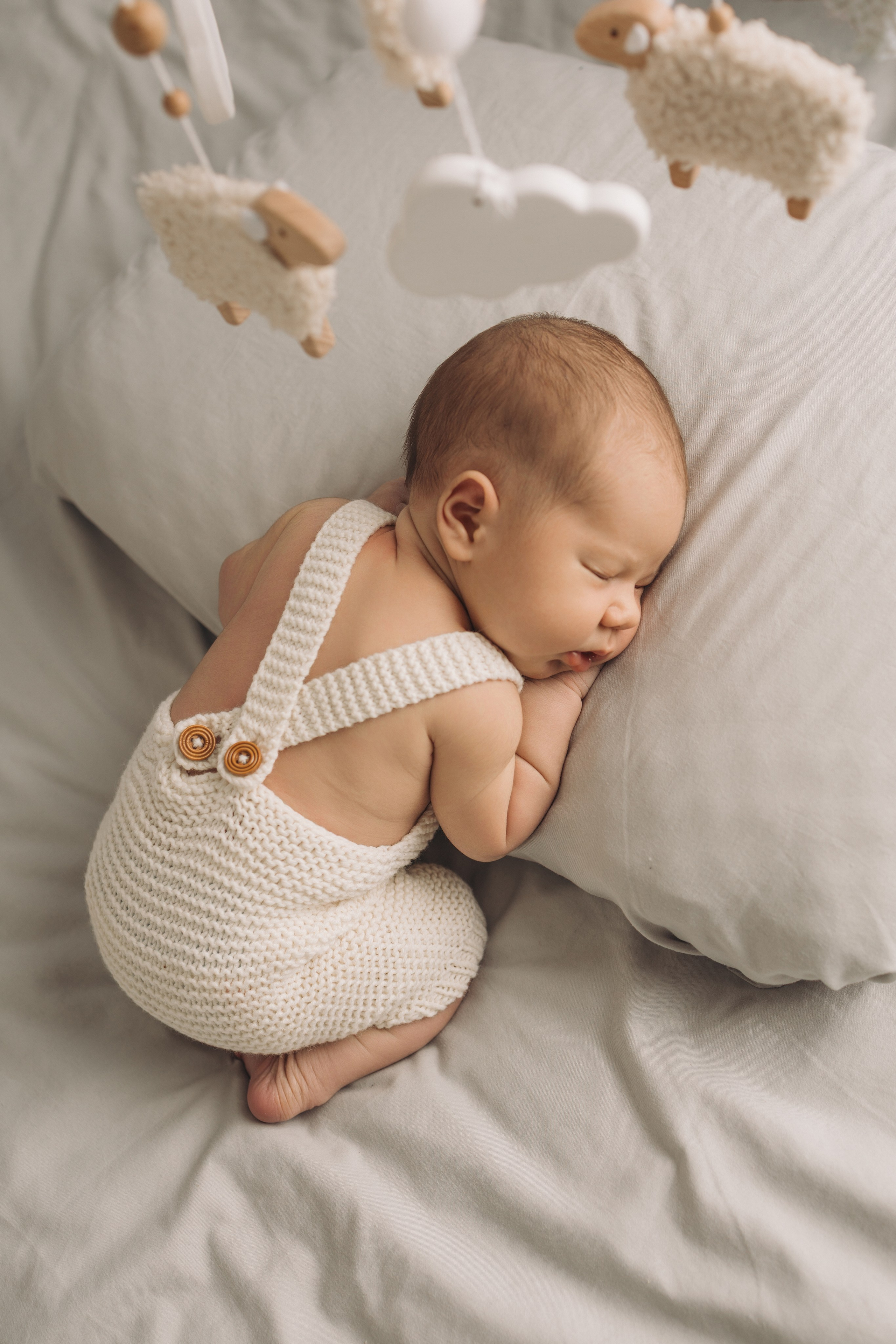 Лев 7 дней. Фотограф новорождённых Newborn Москва