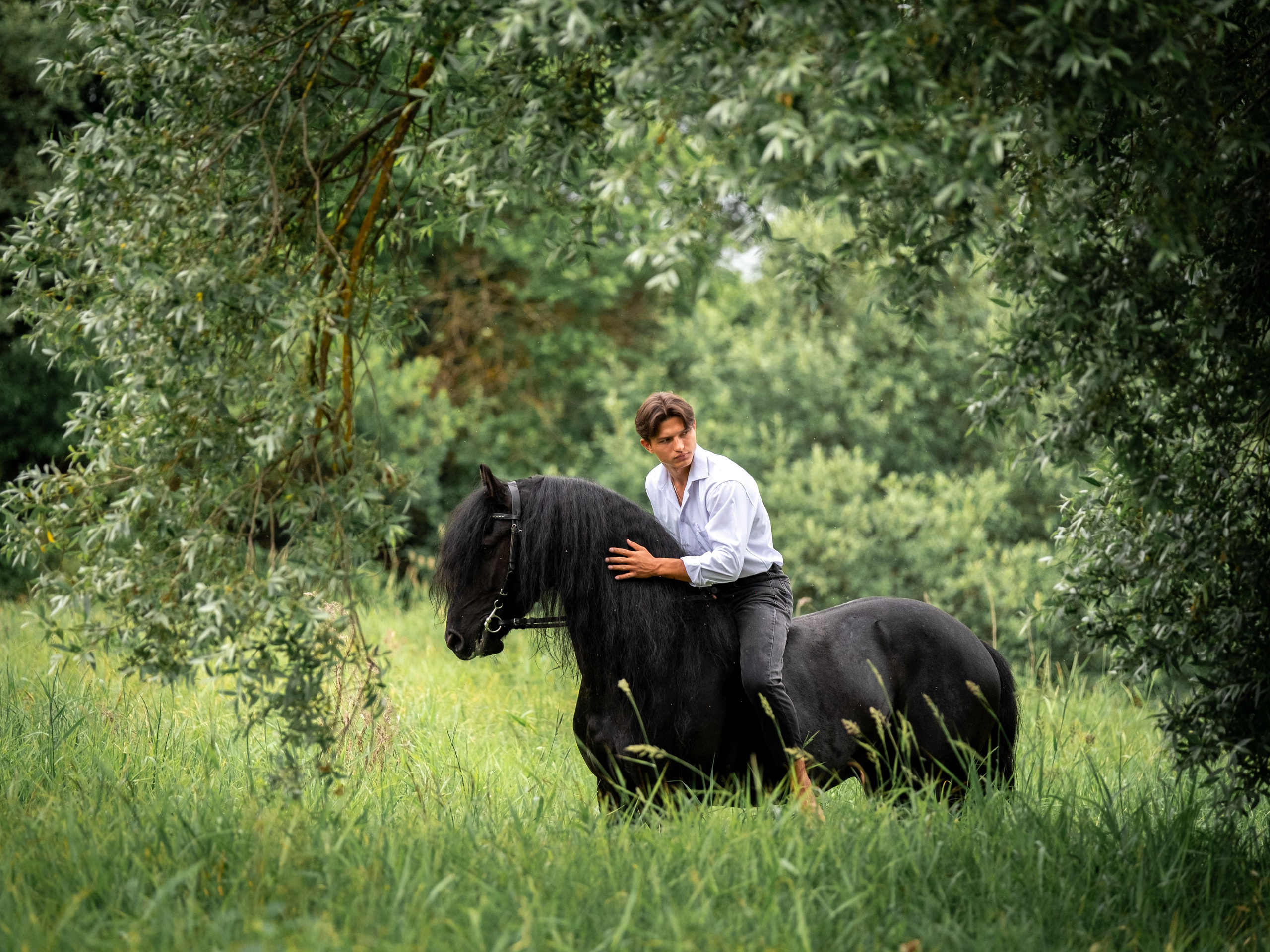 Люди и лошади!. Зоофотограф, фотограф животных в Москве и области Дина Дамоцева