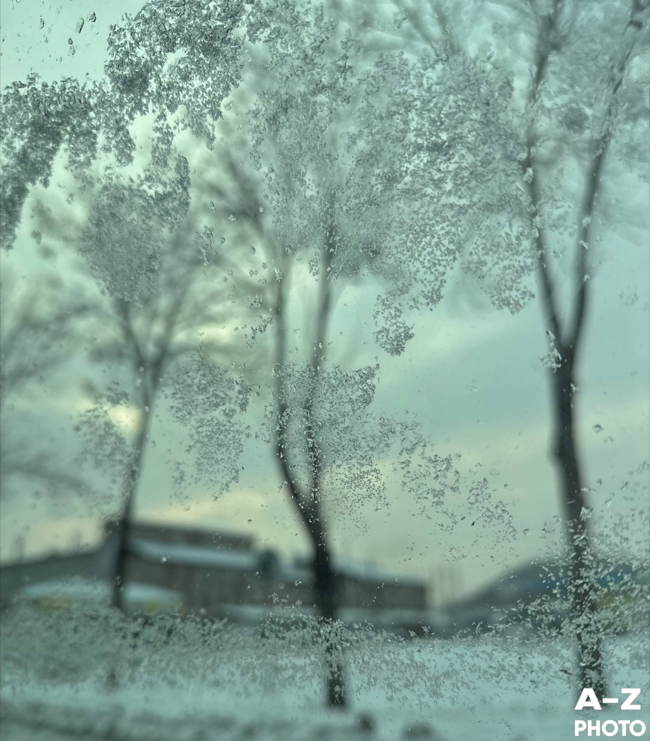 Фото недели AZPHOTO 24.11.2025. Женский семейный фотограф Тула Москва Захарова Анна