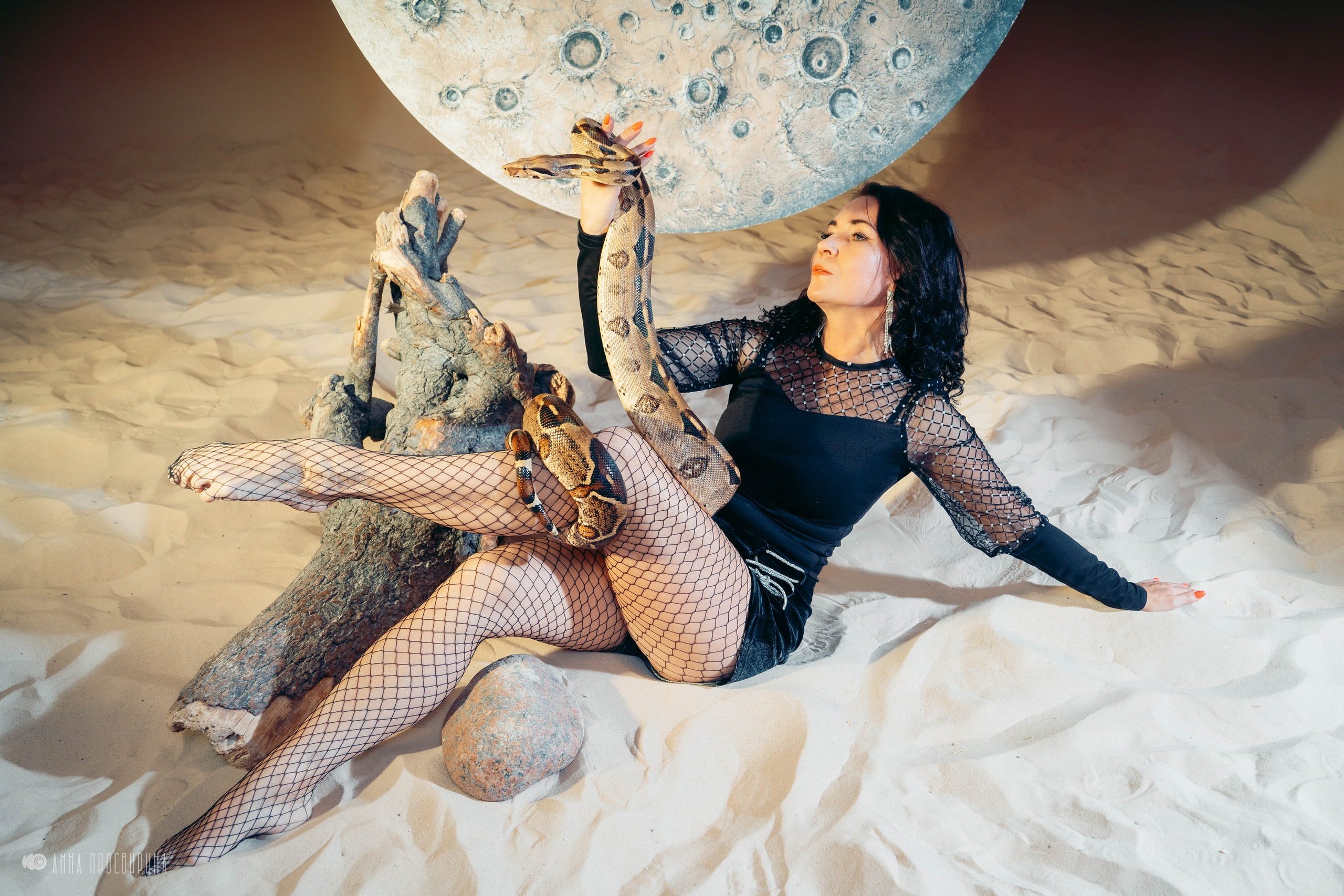 Новогодняя съемка с символом года для проекта Dolce Donna. Ваш фотограф в Санкт-Петербурге Анна Просвирина