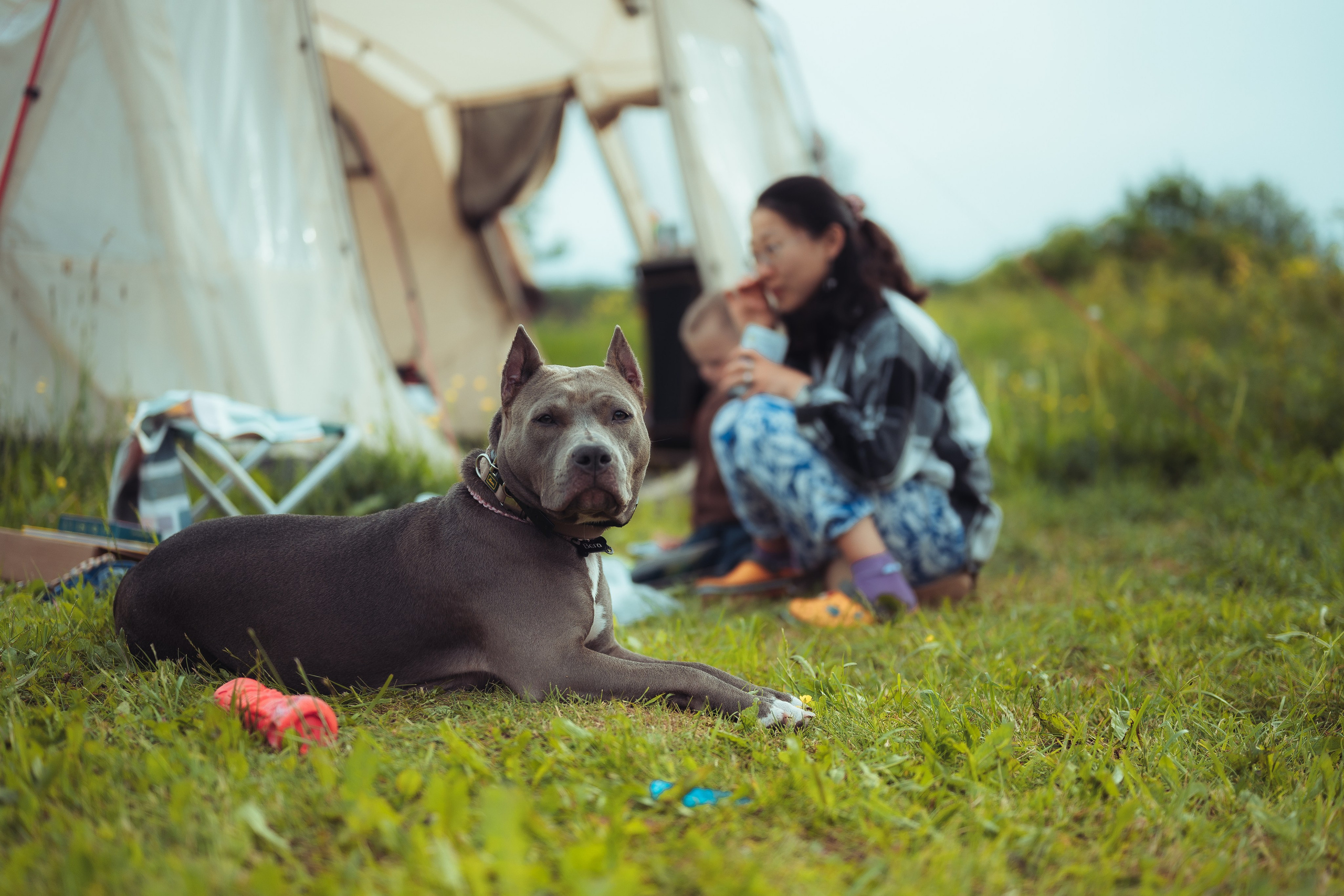 Детский лагерь — 1 смена 2025 год. Иван Кубик — фотограф и видеограф
