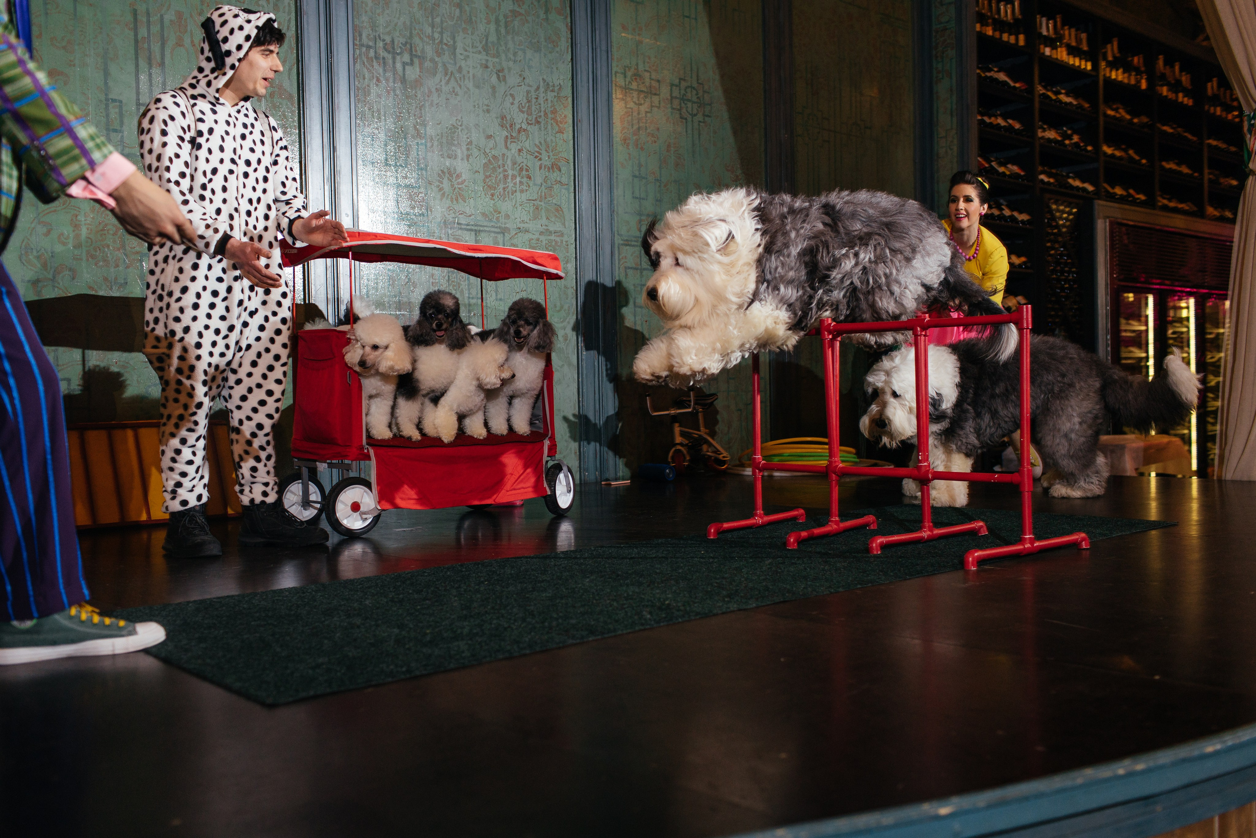 Алине 7 лет. Свадебный и семейный фотограф