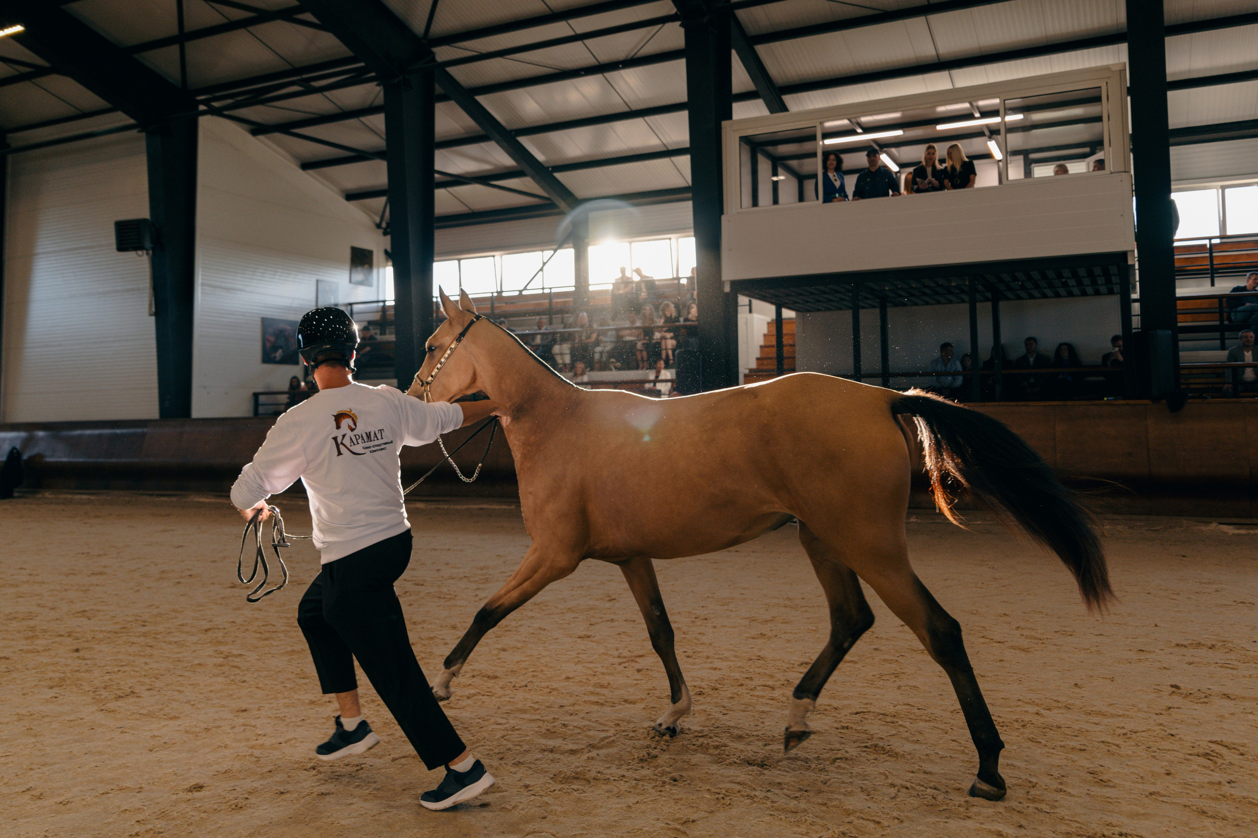 Аукцион. Фотограф Москва Софа Ревчук