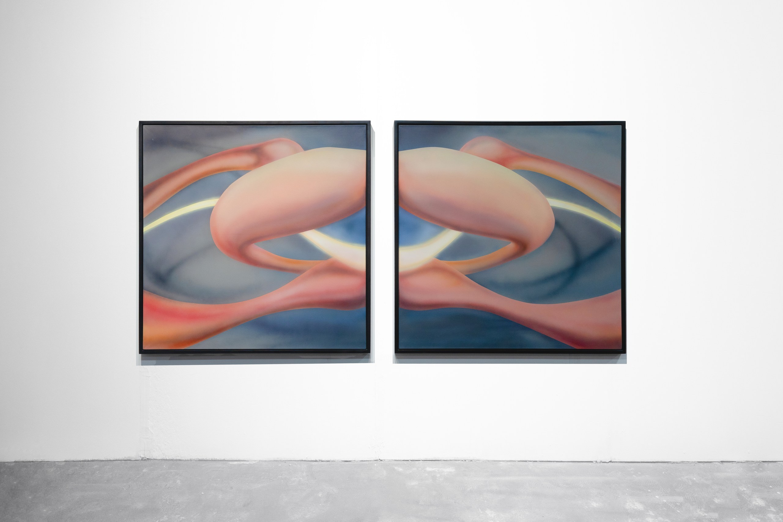 Картины. Фотограф Алексей Зозин в Москве