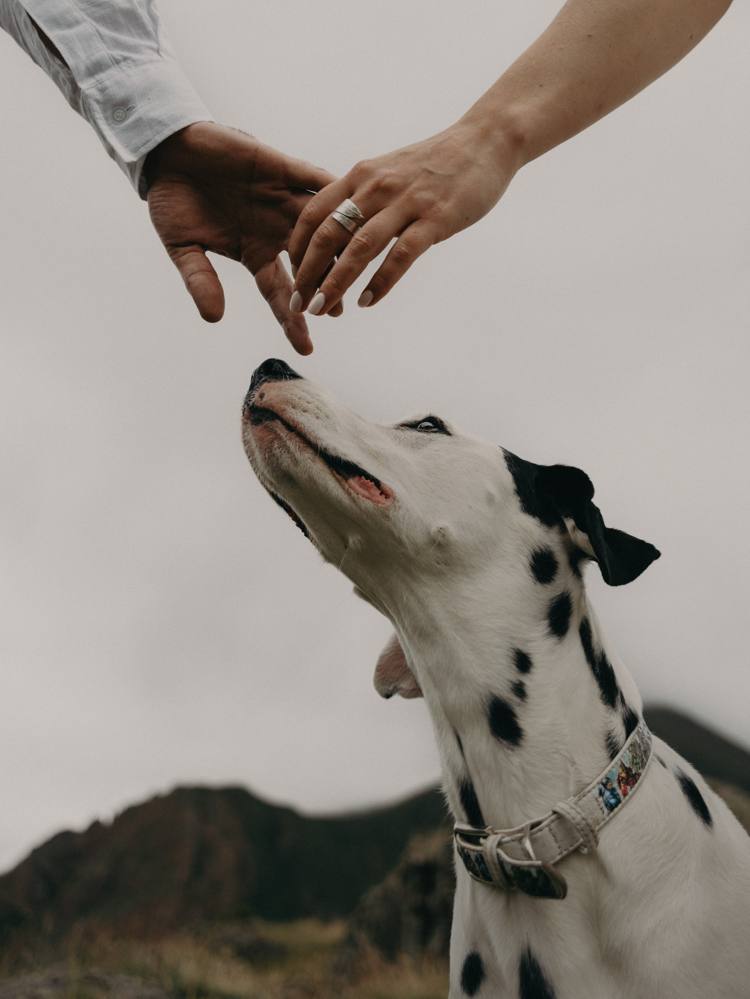 А&А. Свадебный фотограф Ирина Беляева Пятигорск|Кисловодск|Эльбрус|Домбай