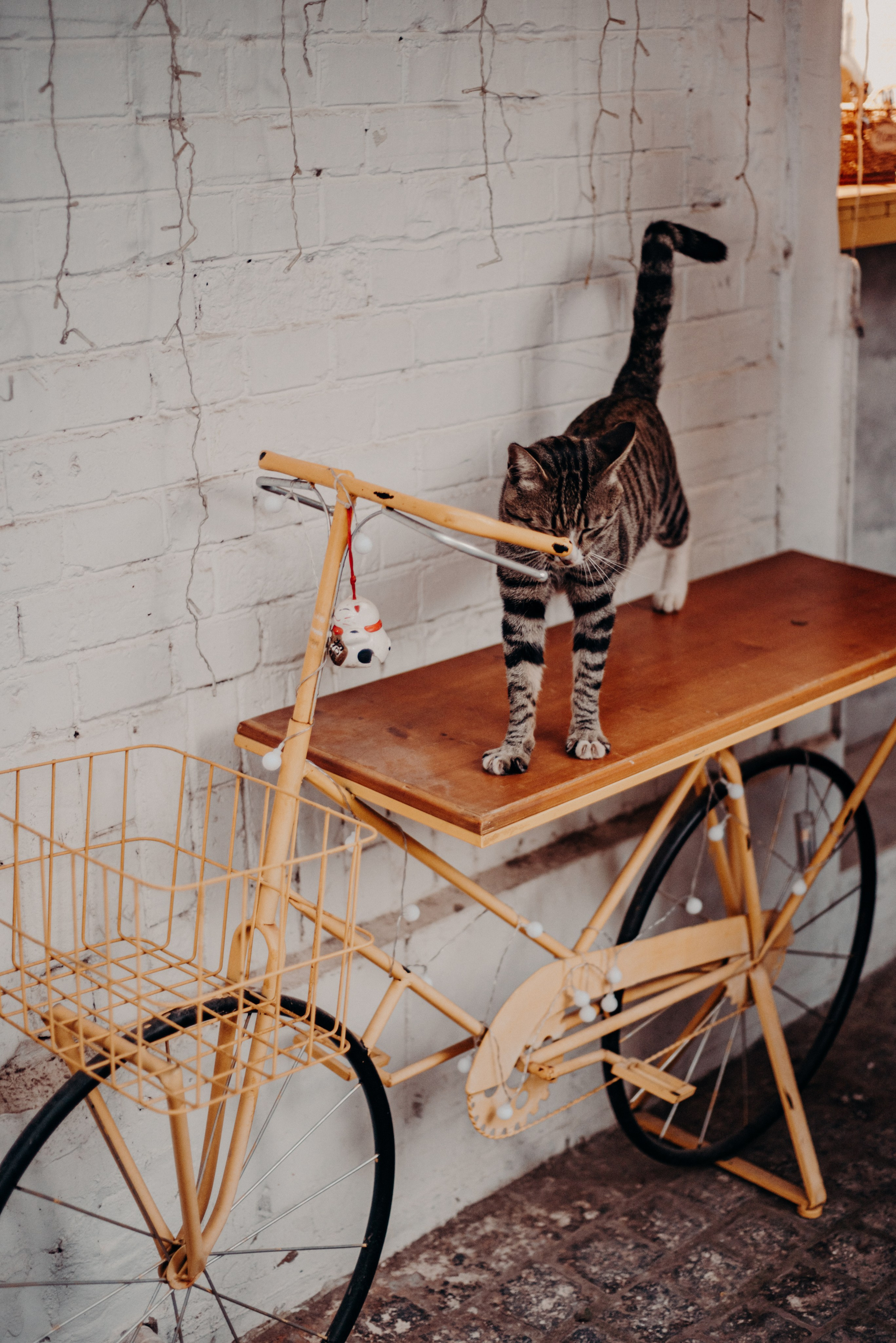 Рекламный фотограф из Гуанчжоу: путешествие по Уханю через объектив камеры. Коммерческий и предметный фотограф в Гуанчжоу Коваленко Александр