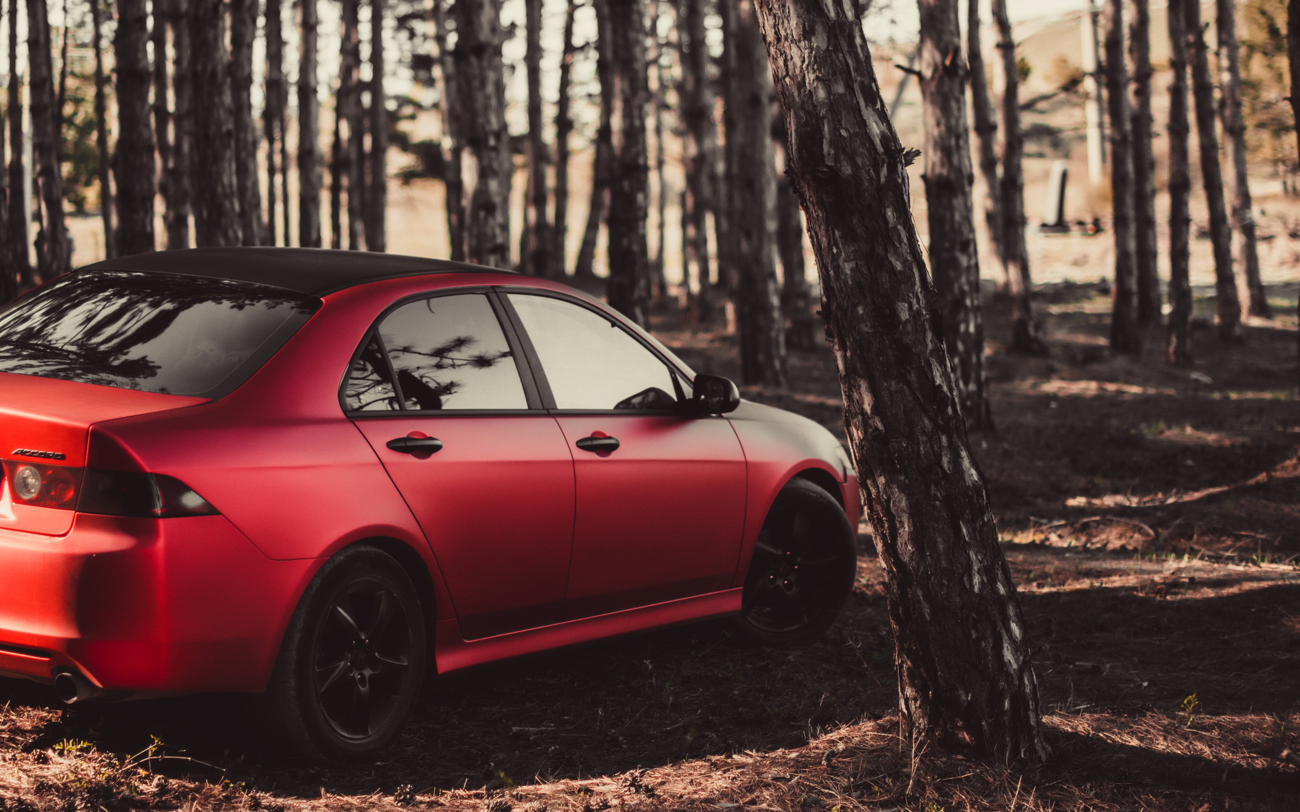 Автомобильная съёмка. Свадебный фотограф в Крыму Александр Богомазов