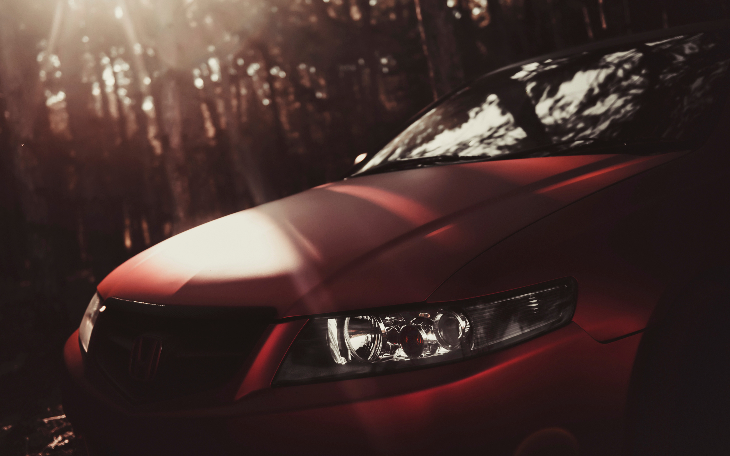 Автомобильная съёмка. Свадебный фотограф в Крыму Александр Богомазов