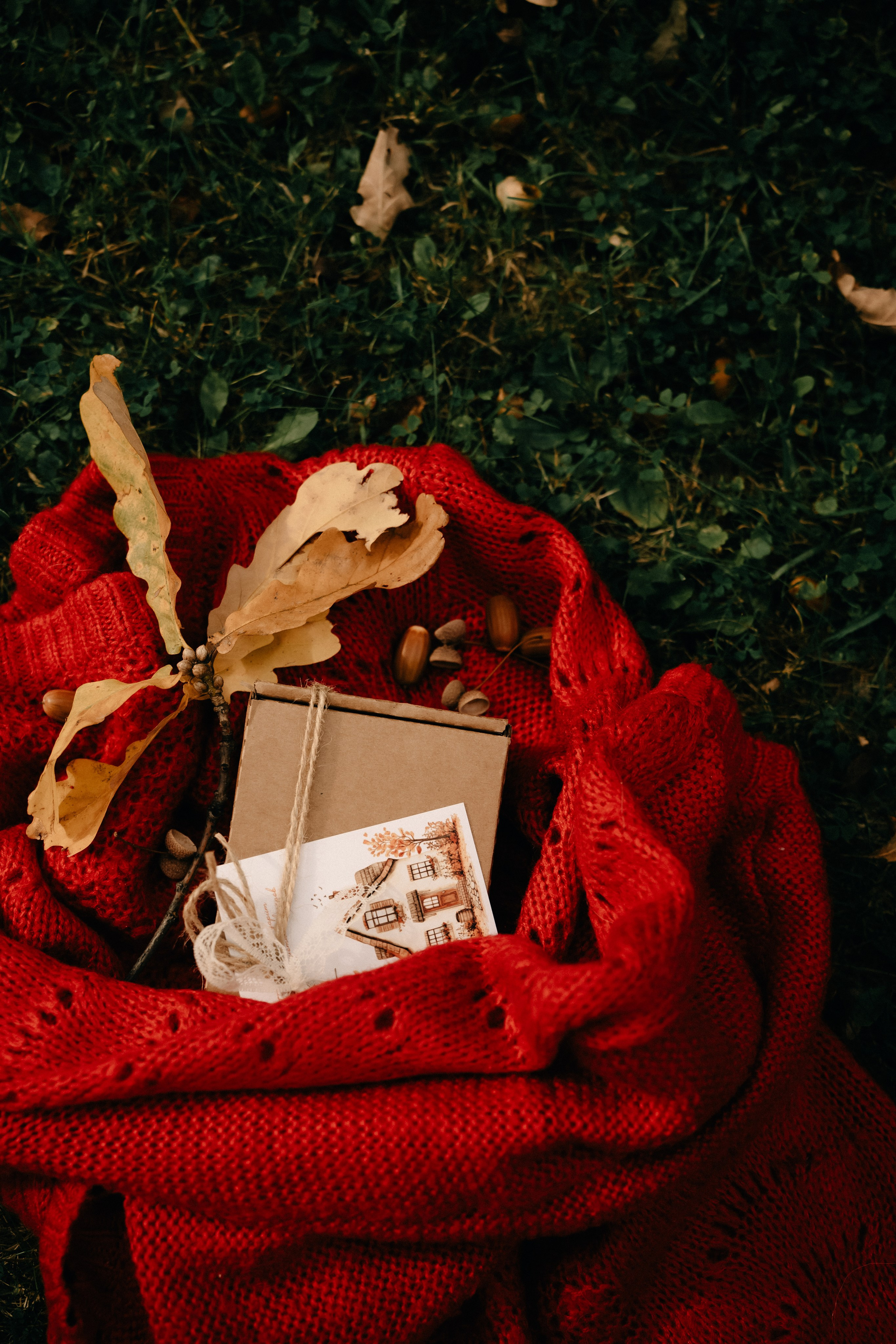 Контент-съёмка. Кошенкова Мария: портретный и репортажный фотограф. Санкт-Петербург