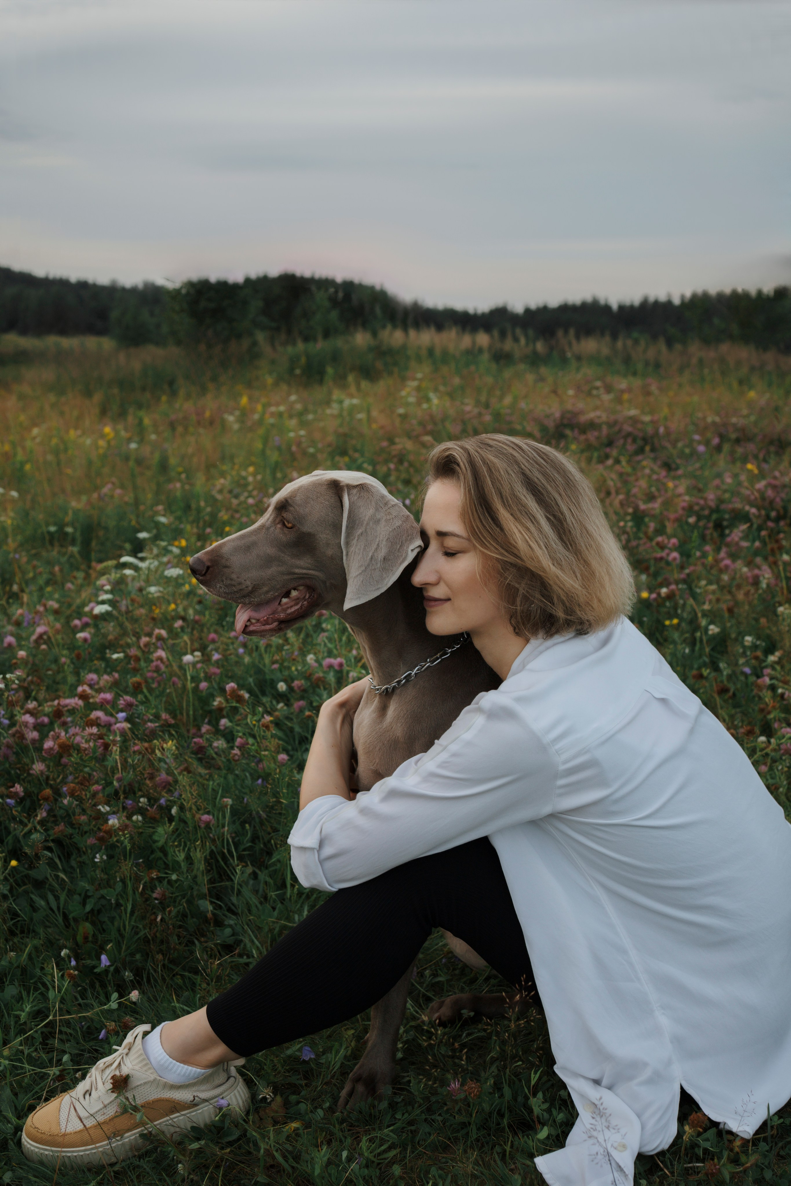 Маргарита и веймаранеры. Фотограф-анималист в Санкт-Петеребурге Титова Алиса