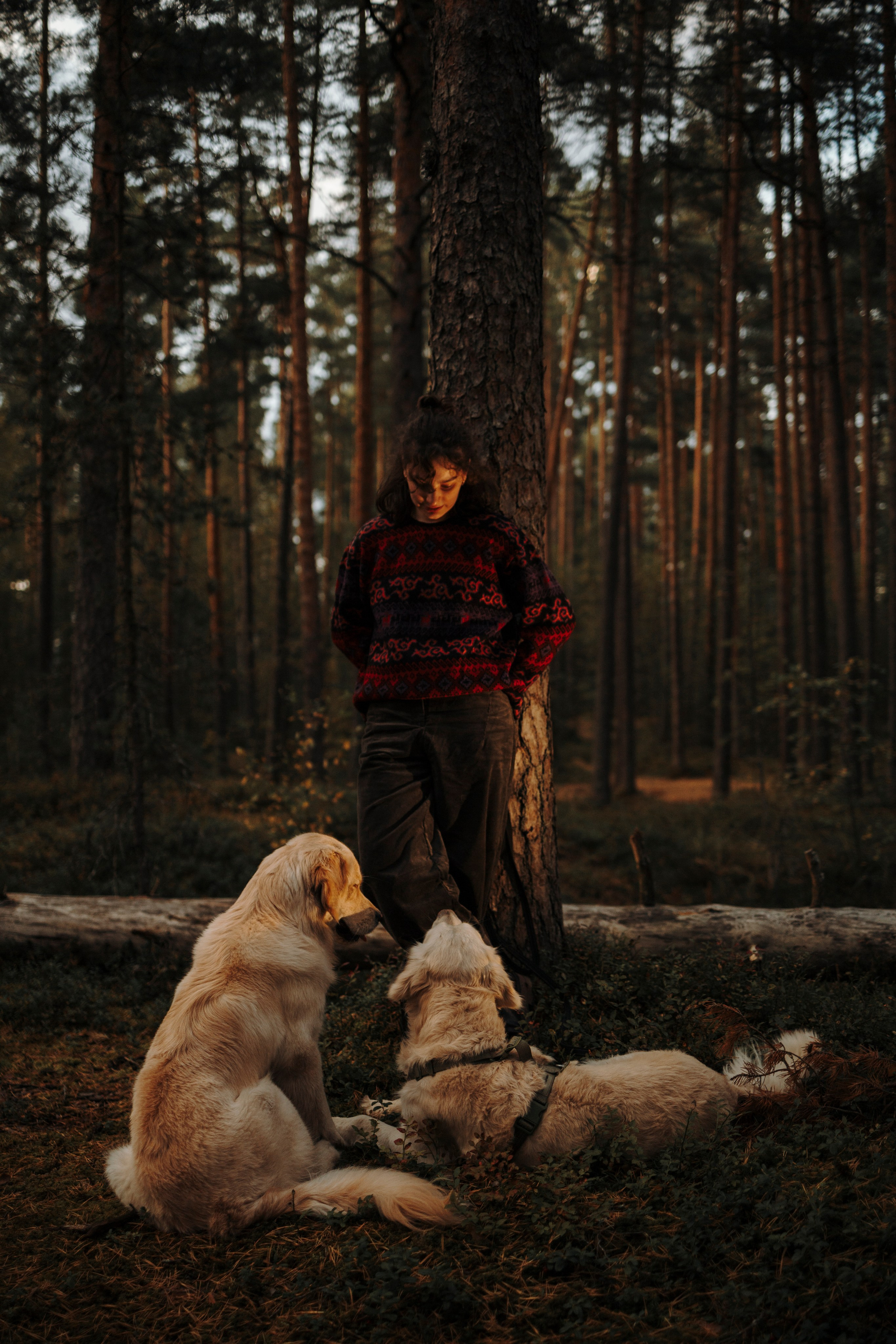 Прогулка Насти с Арчи и Арагоном. Фотограф-анималист в Санкт-Петеребурге Титова Алиса