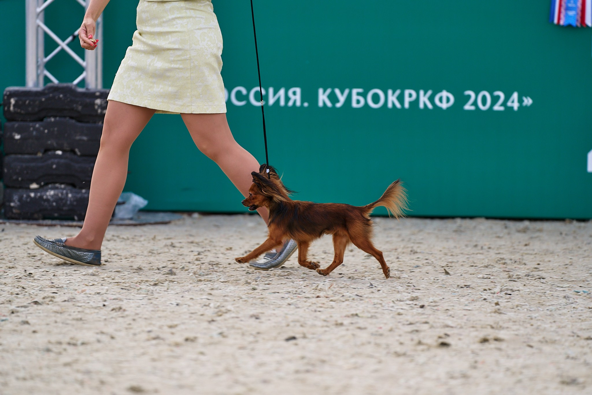 09.06.2024, «РОССИЯ. КУБОК МОСКВЫ 2024 & КУБОК ГОРОДОВ-ГЕРОЕВ»