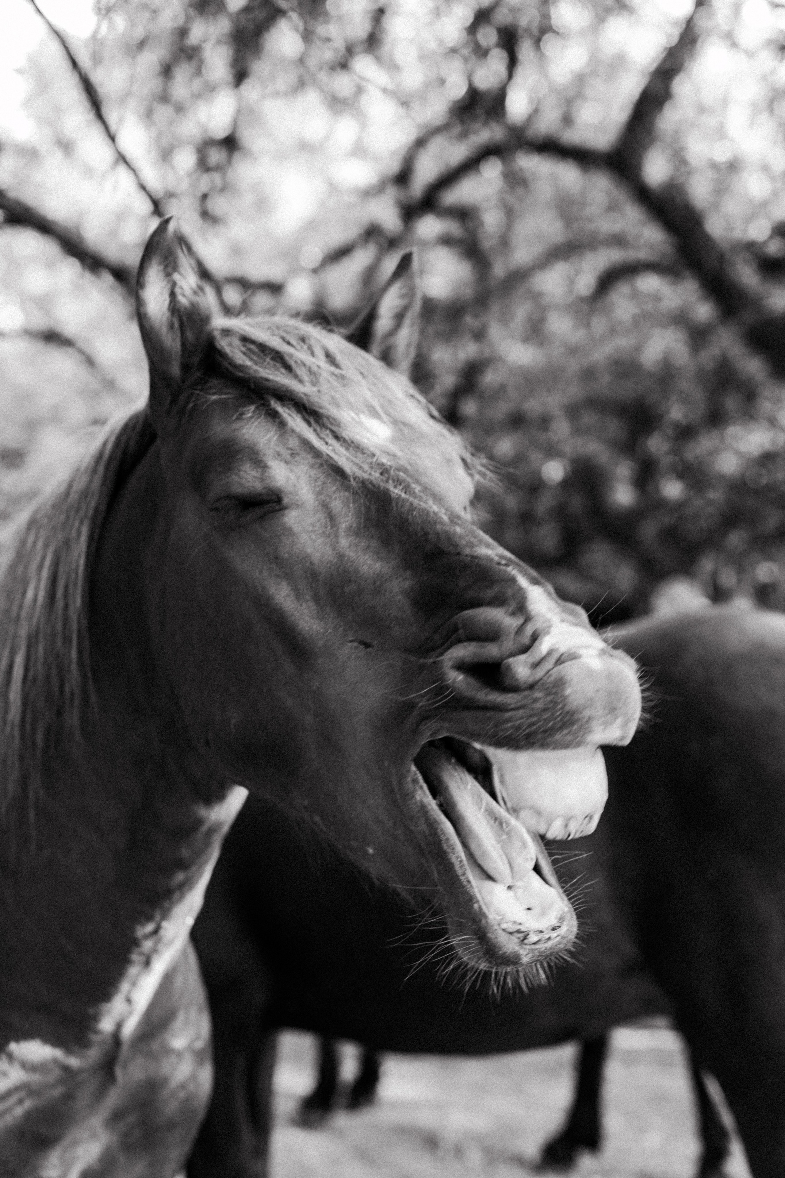 Репортаж для «Райского сада». Портретный и семейный фотограф в Минске