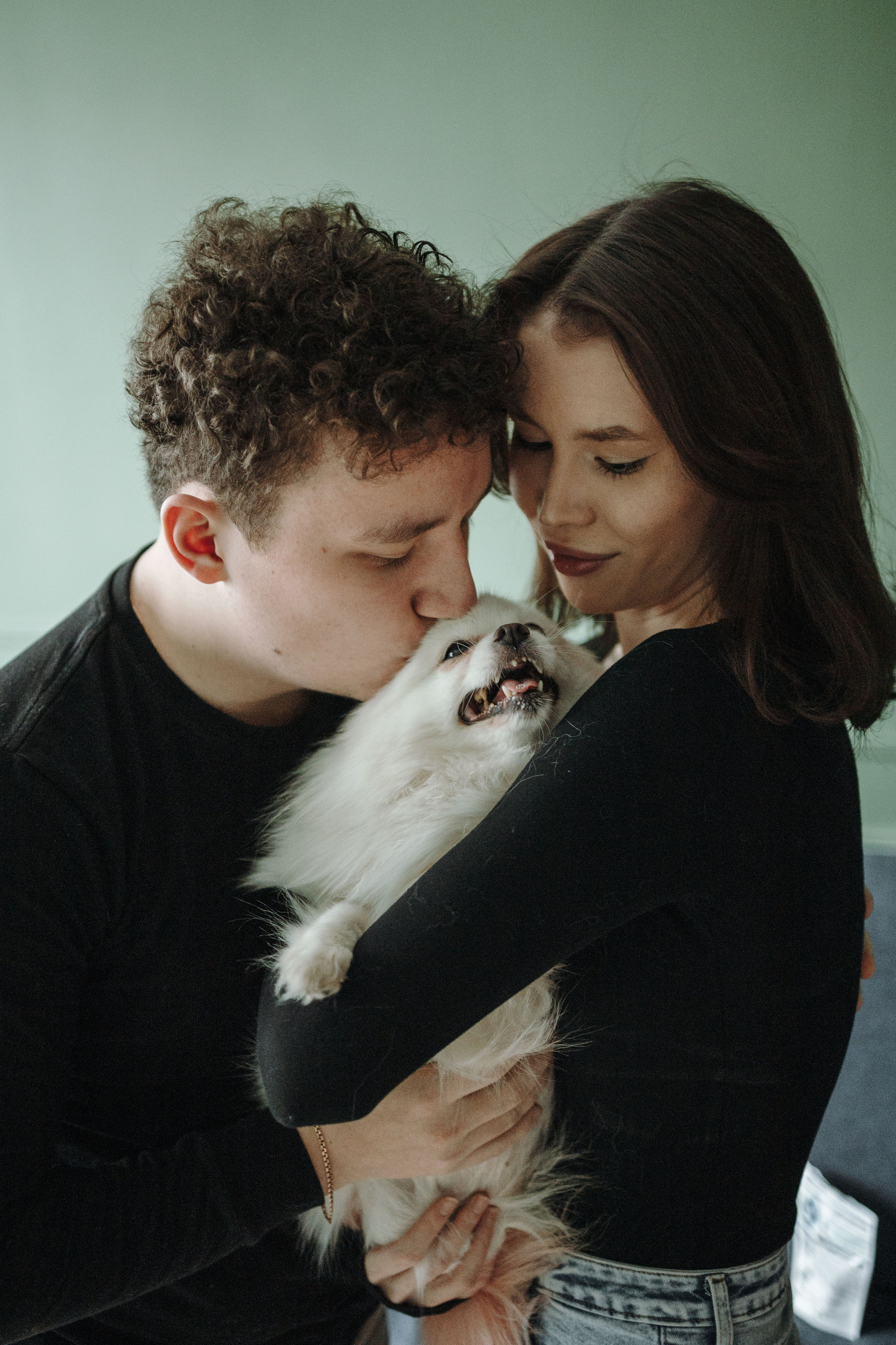 Шпиц Мася и ее семья