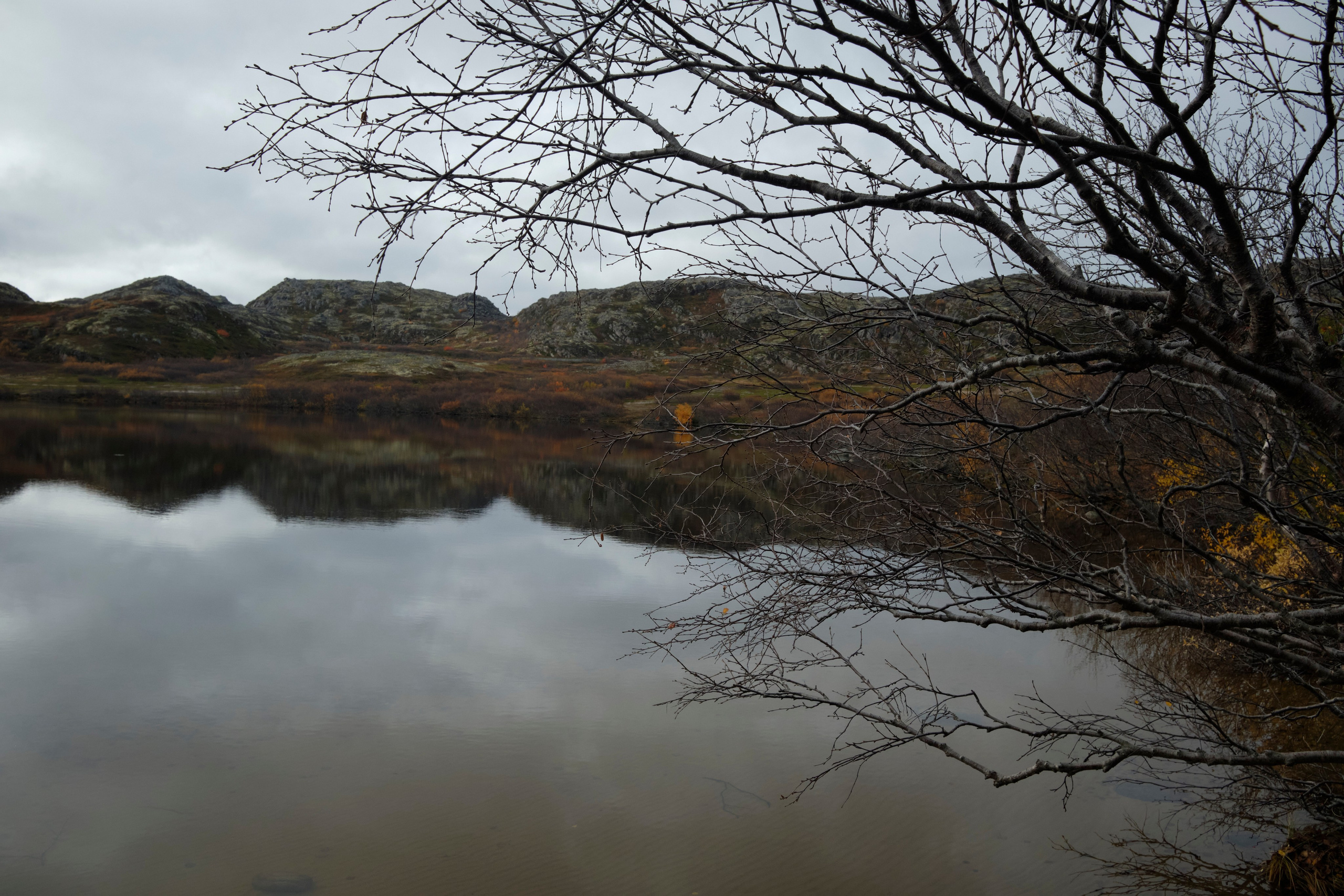 Путешествие в Териберку. Елена Павленко. Фотограф. Москва