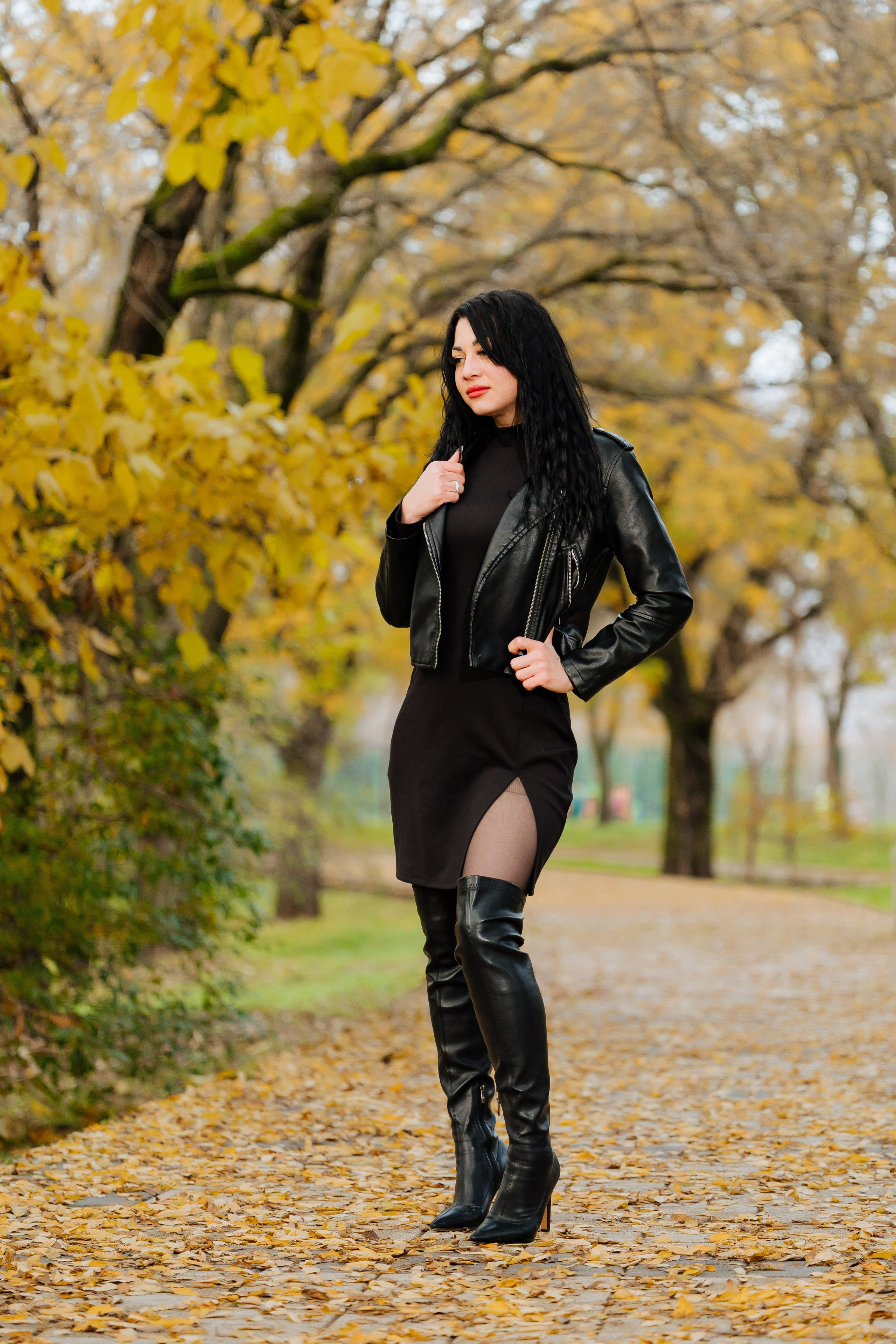 Осень. Профессиональный фотограф и видеооператор