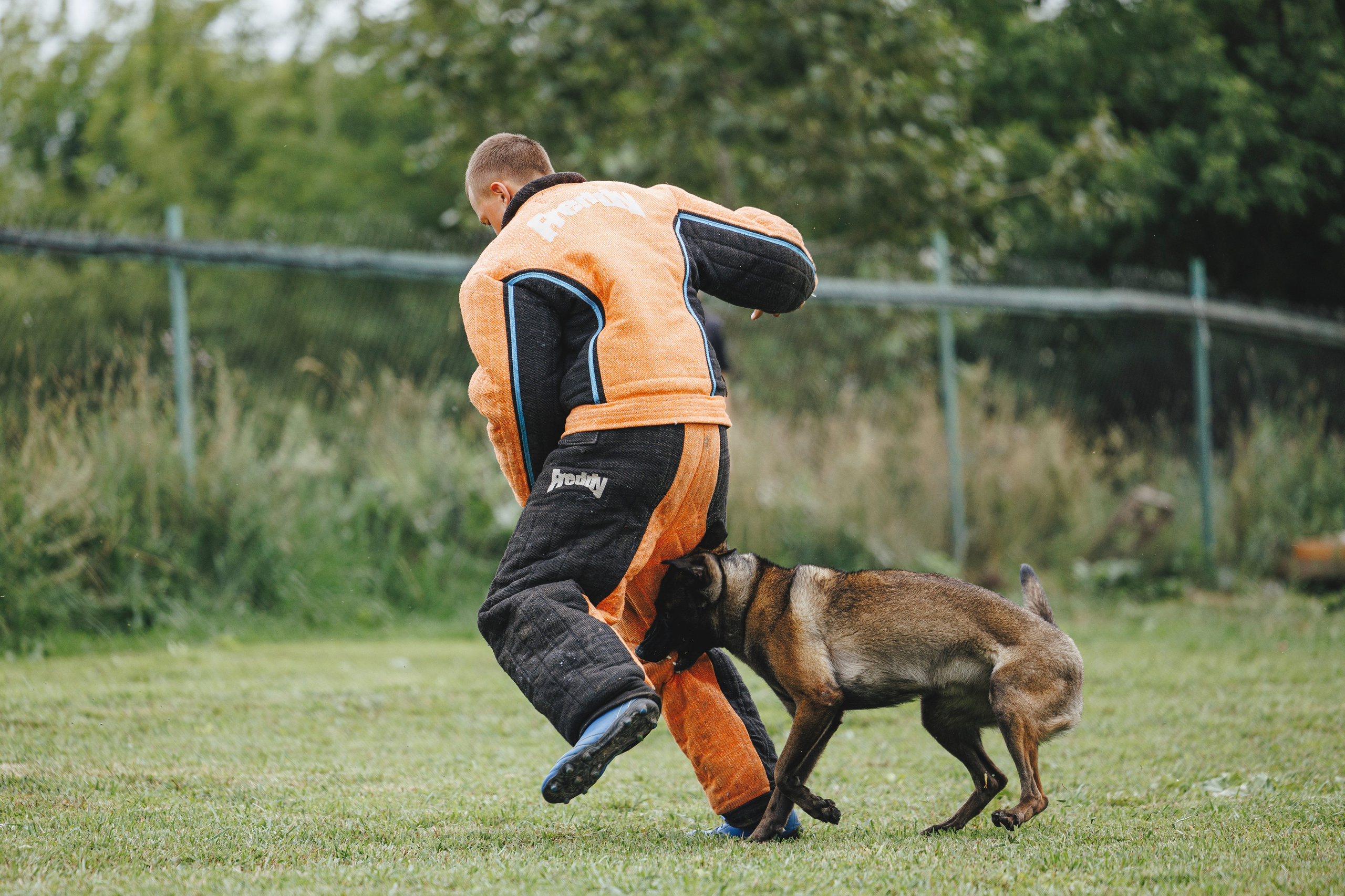 08.08.25-10.08.25 ЧР по мондьорингу г. Вологда. Фотограф-анималист Анна Маринич