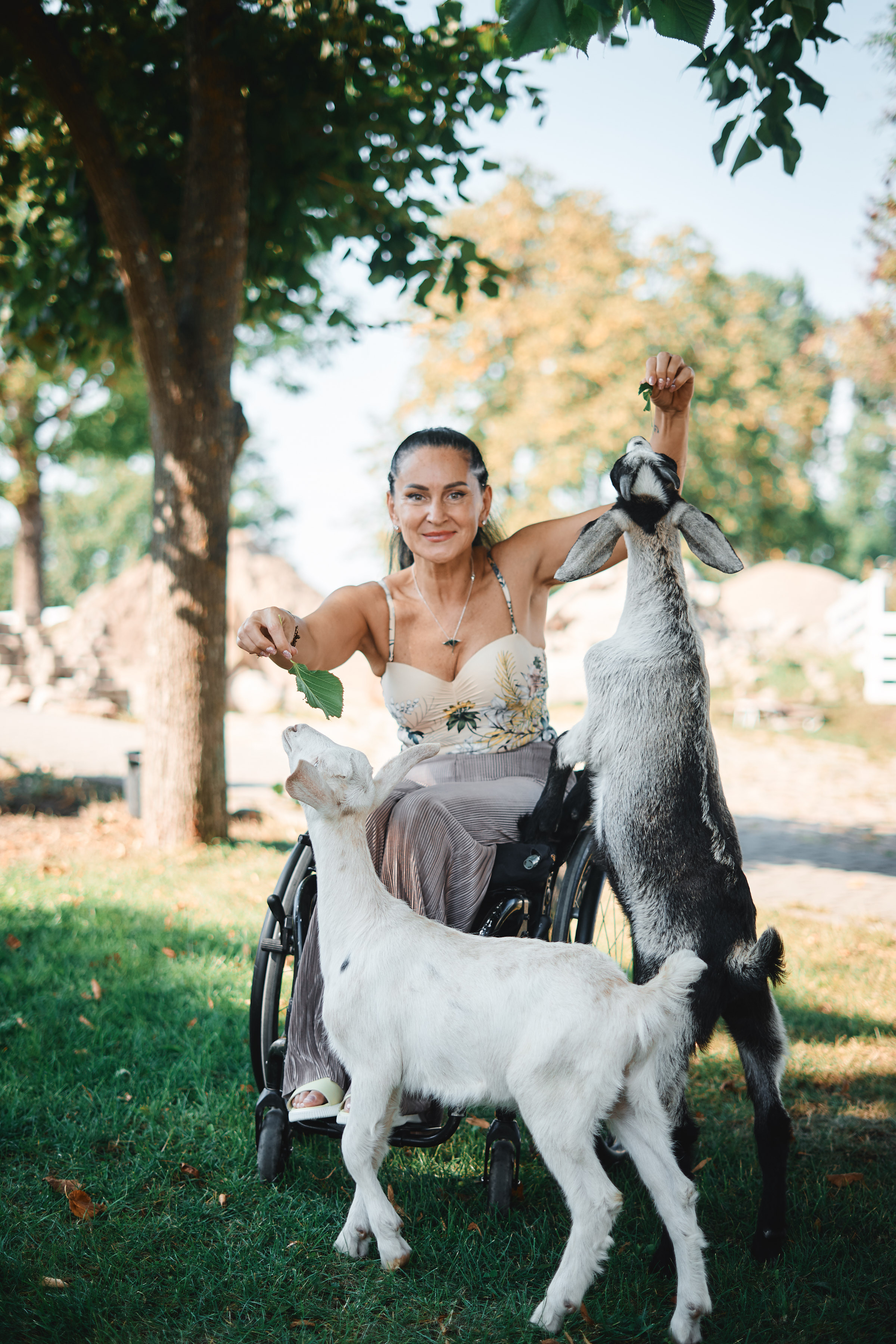 КОВЧЕГ (Спортивный день). Главная