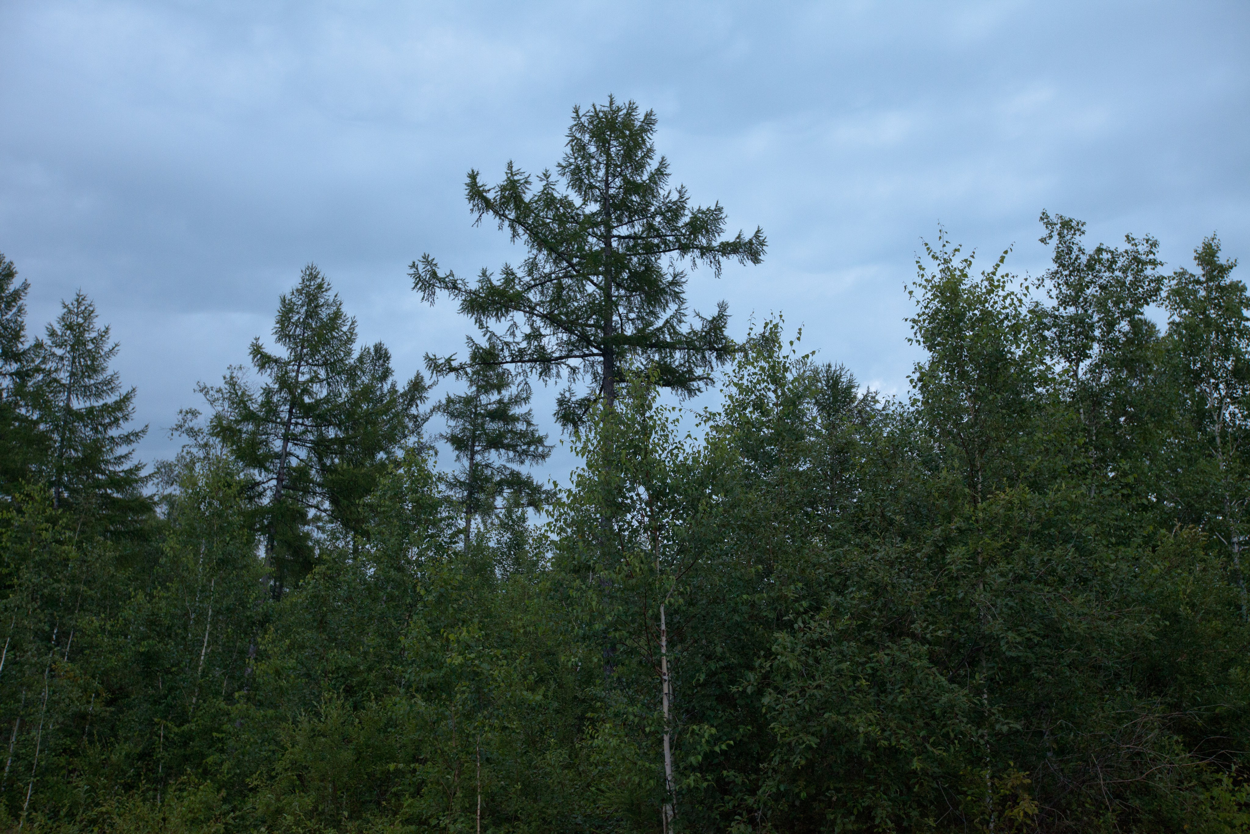 Фото Природы Забайкалья. Студия Максима Белослюдцева