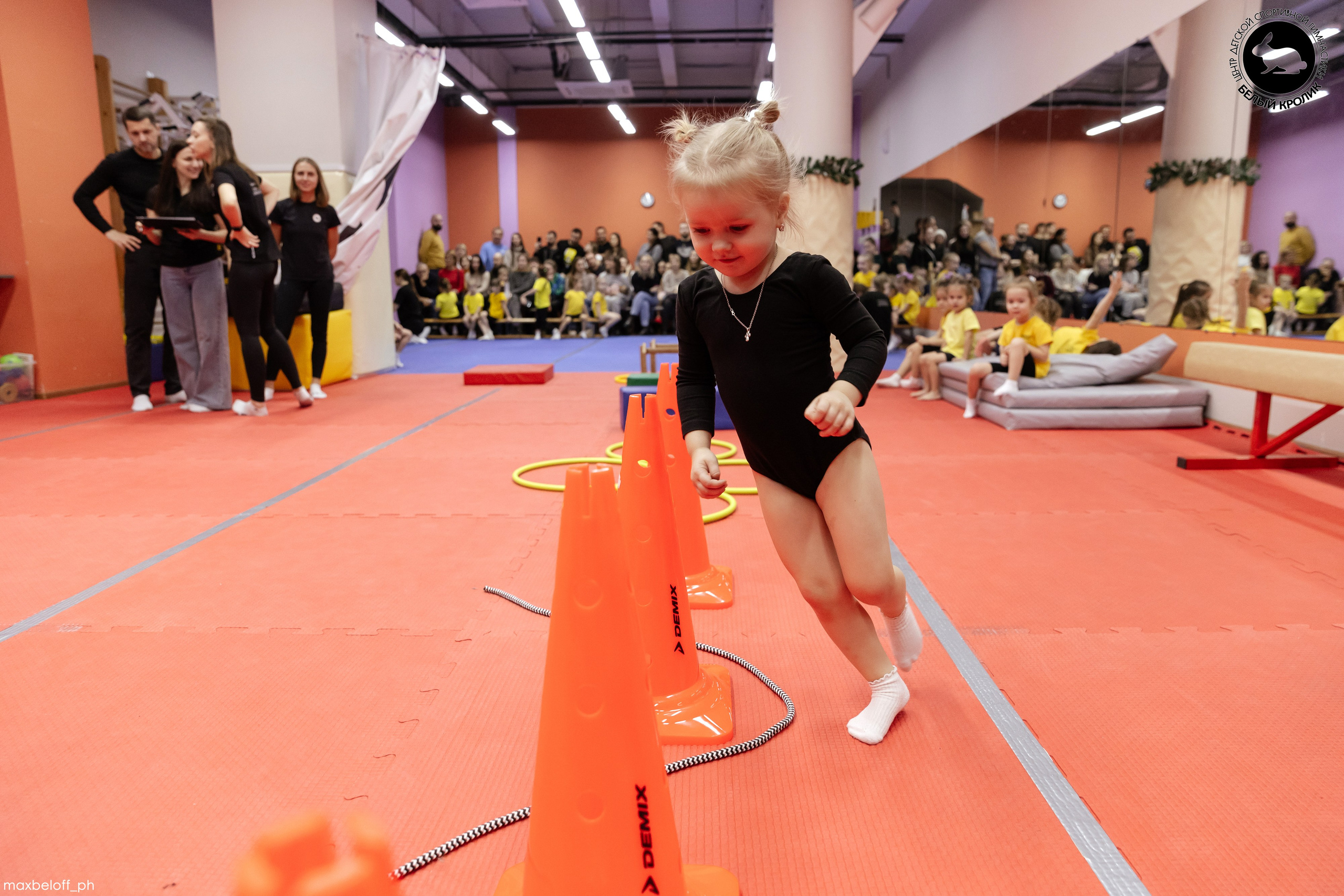 Белый кролик. Соревнования. Семейный фотограф — Макс Белогрудов