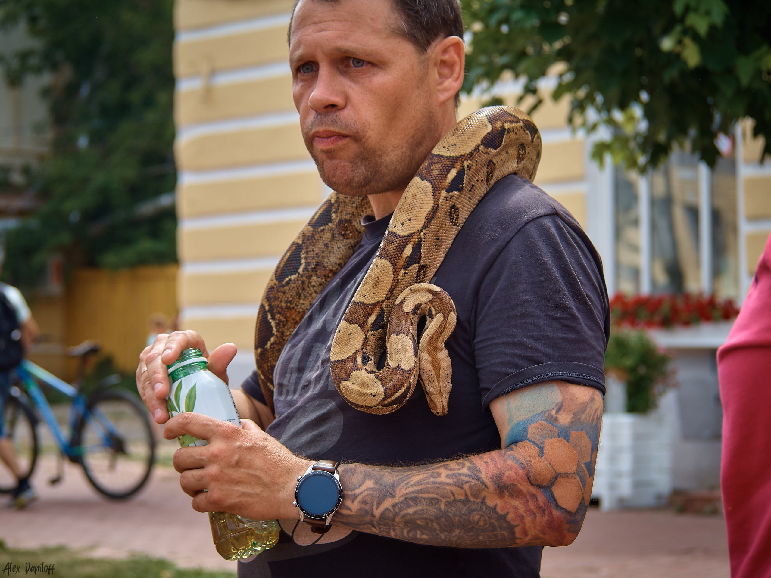 День семьи, любви и верности 2023. Муром-Инфо. Новости культуры, образования, спорта в городе Муром