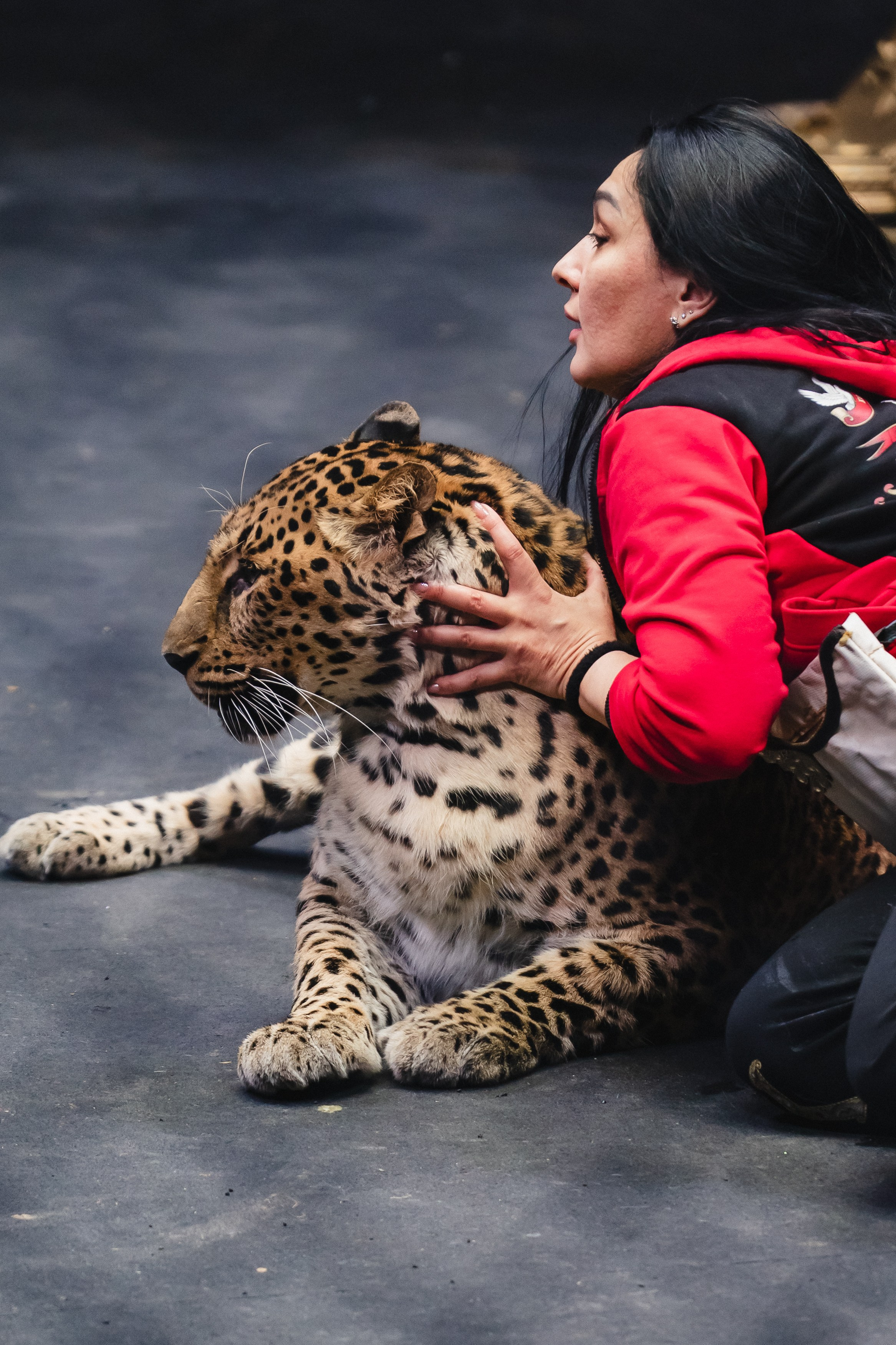 5 Континентов — Открытая репетиция. Воробьева Ксения — Спортивный и танцевальный фотограф Новосибирск