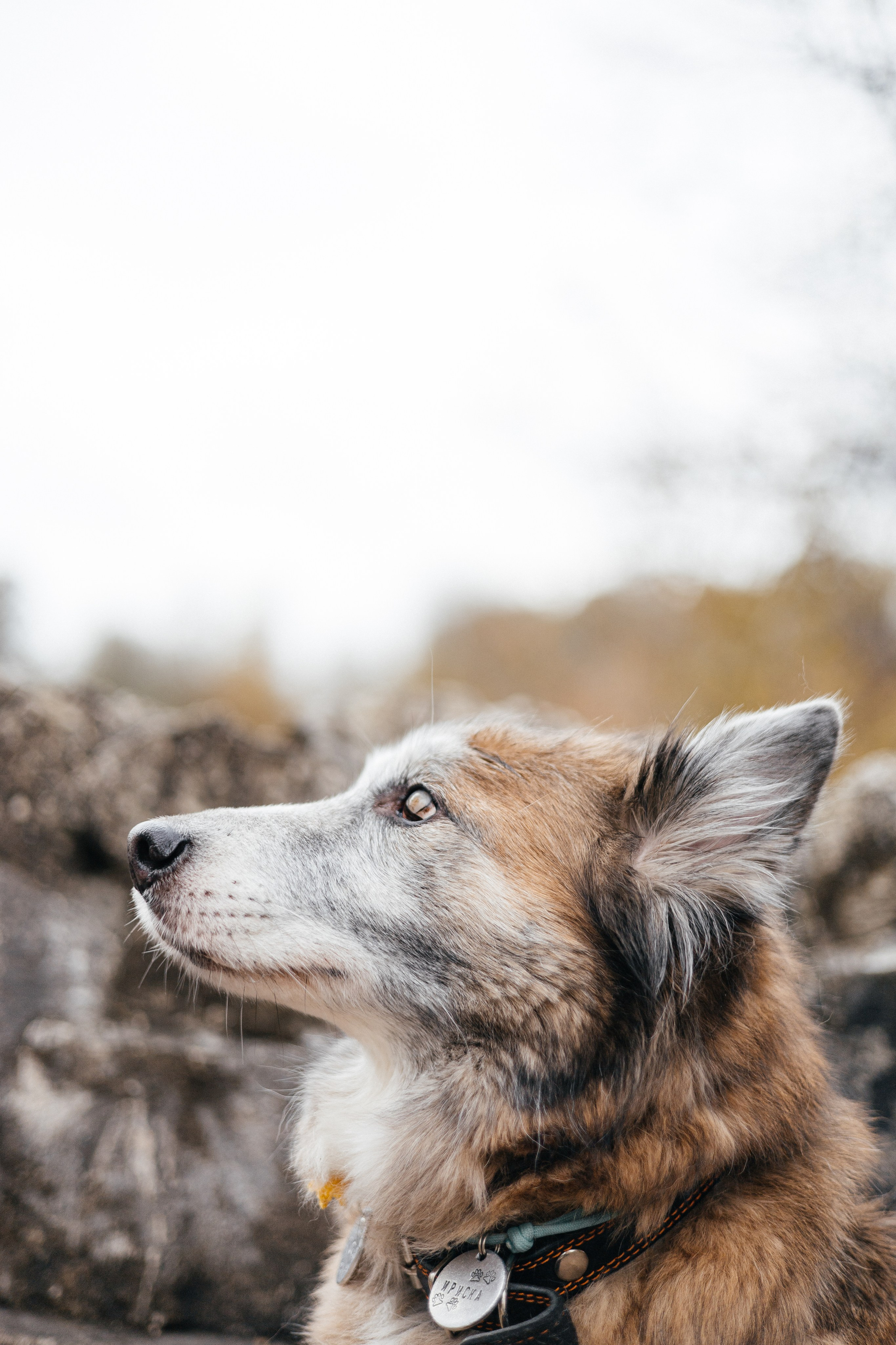 Аня и Ириска. Фотограф Анна Луценко Москва