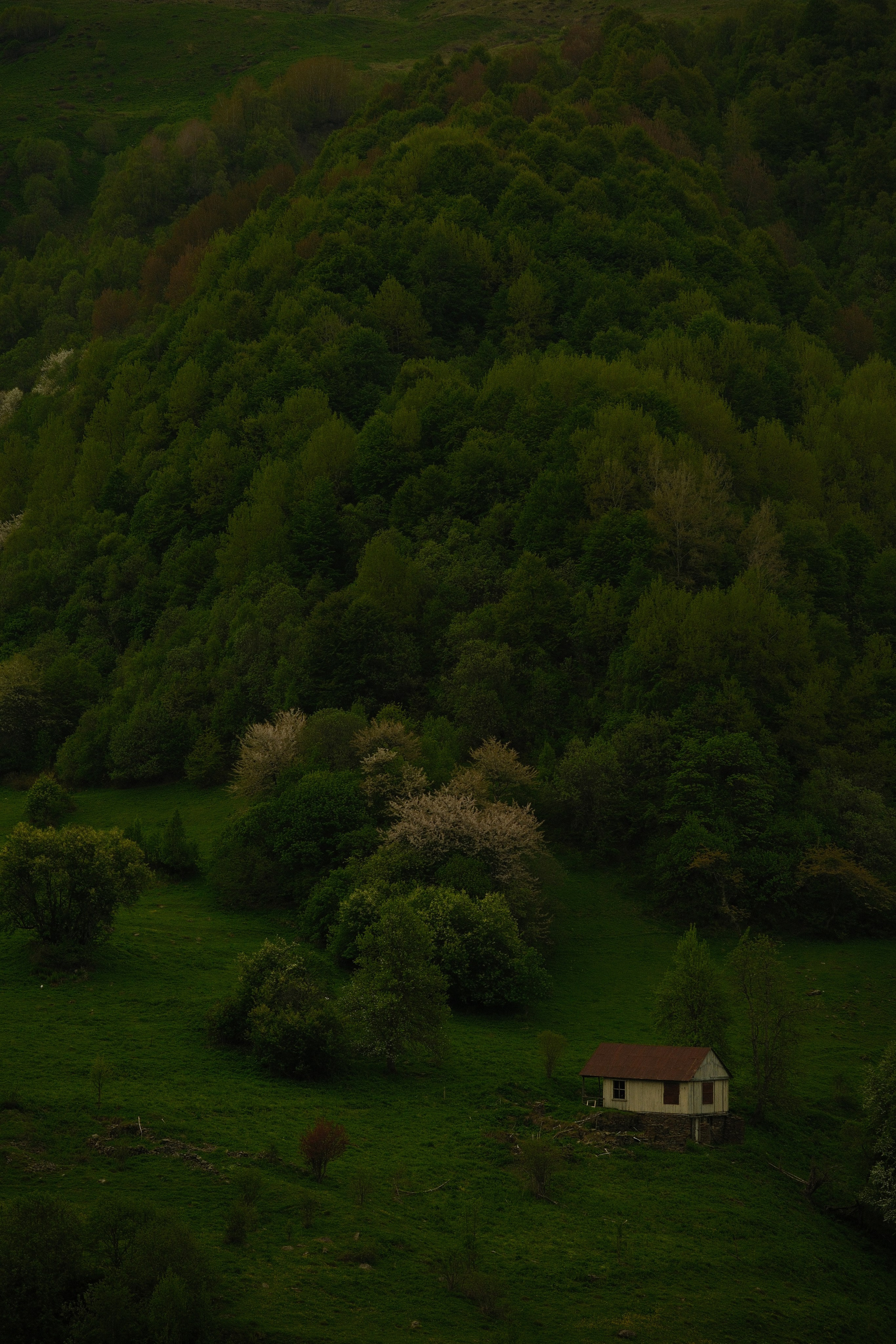 Georgia. Creative travel photographer — Berg Daria