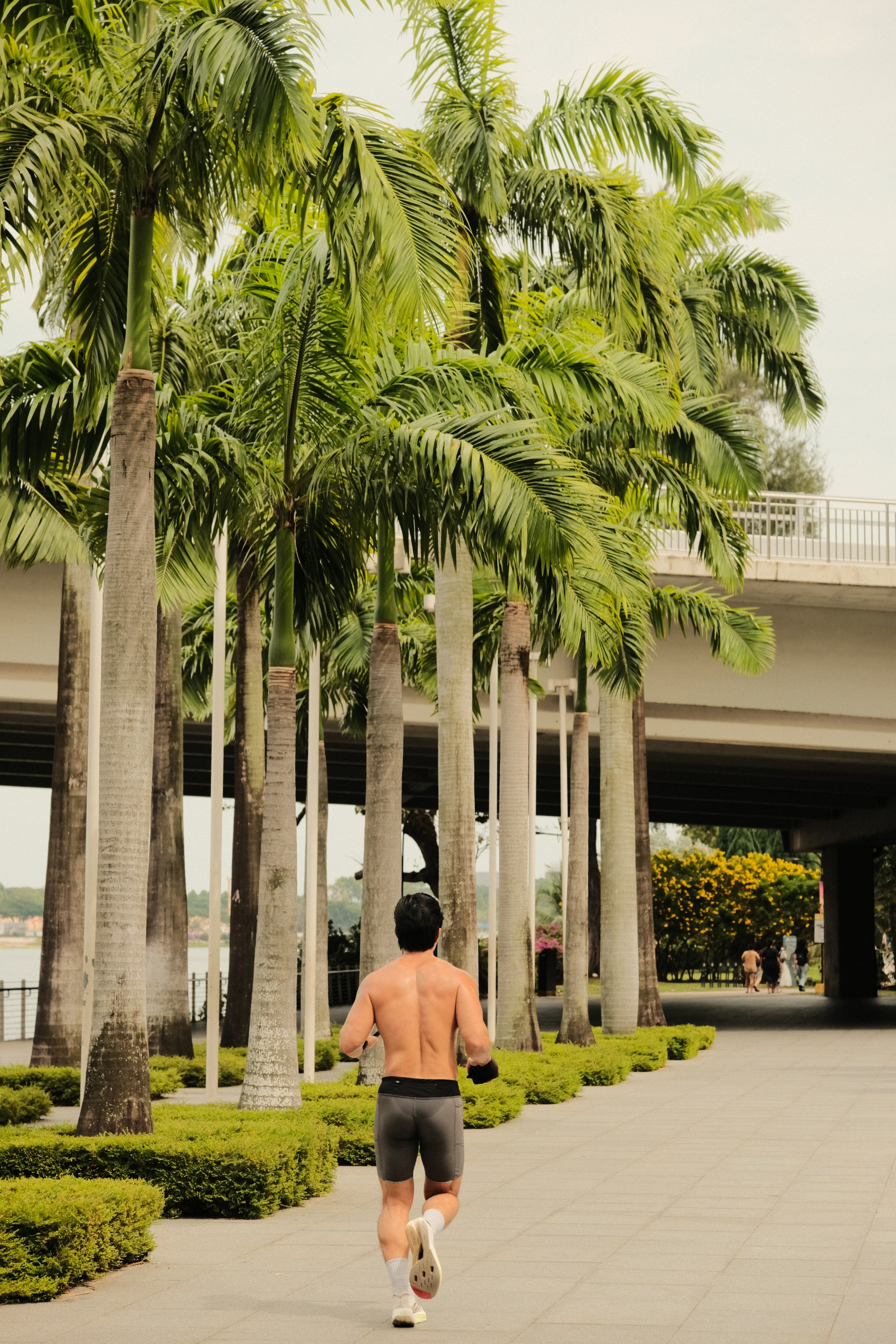 Singapore. Creative travel photographer — Berg Daria