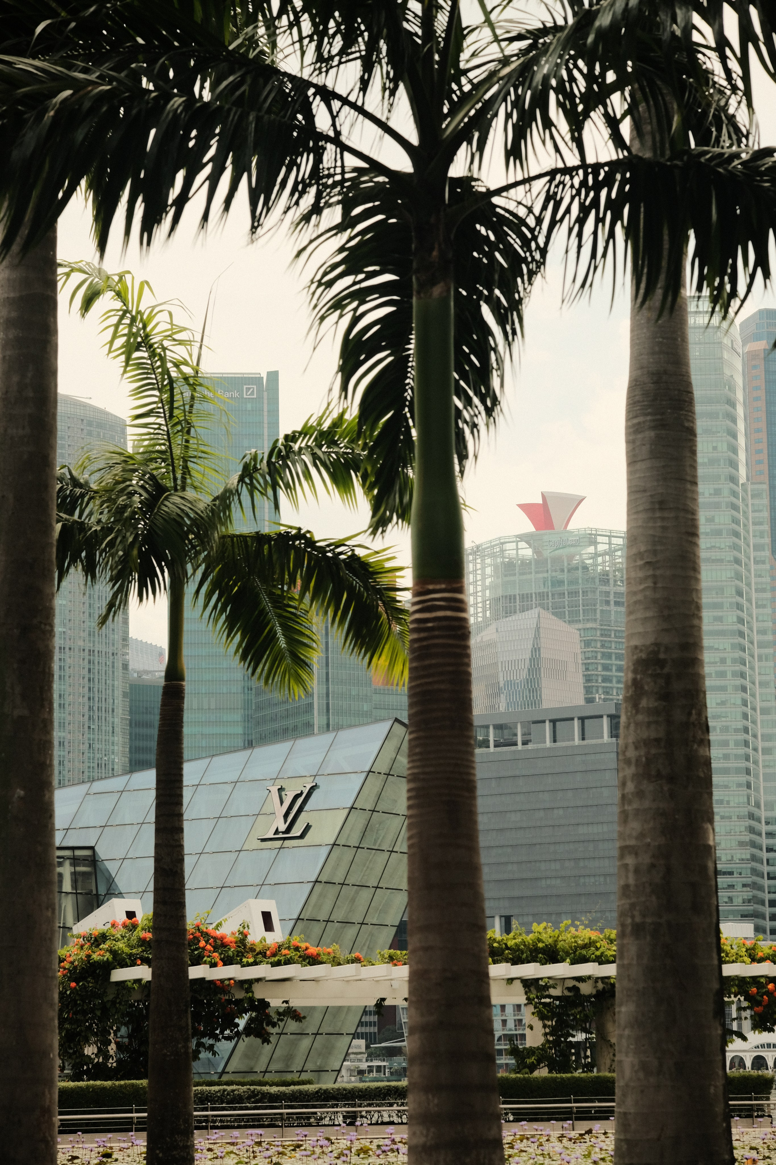 Singapore. Creative travel photographer — Berg Daria