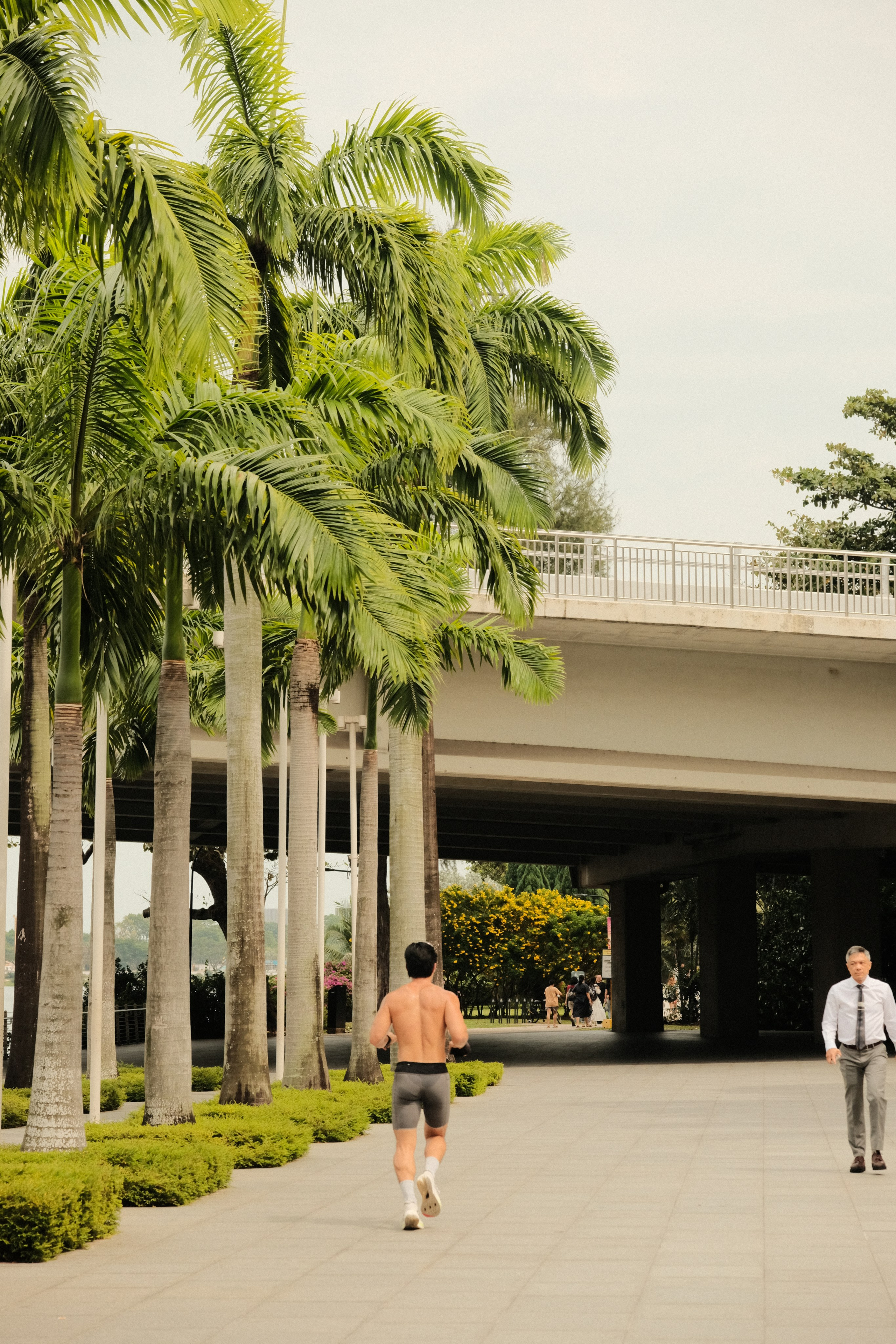 Singapore. Creative travel photographer — Berg Daria
