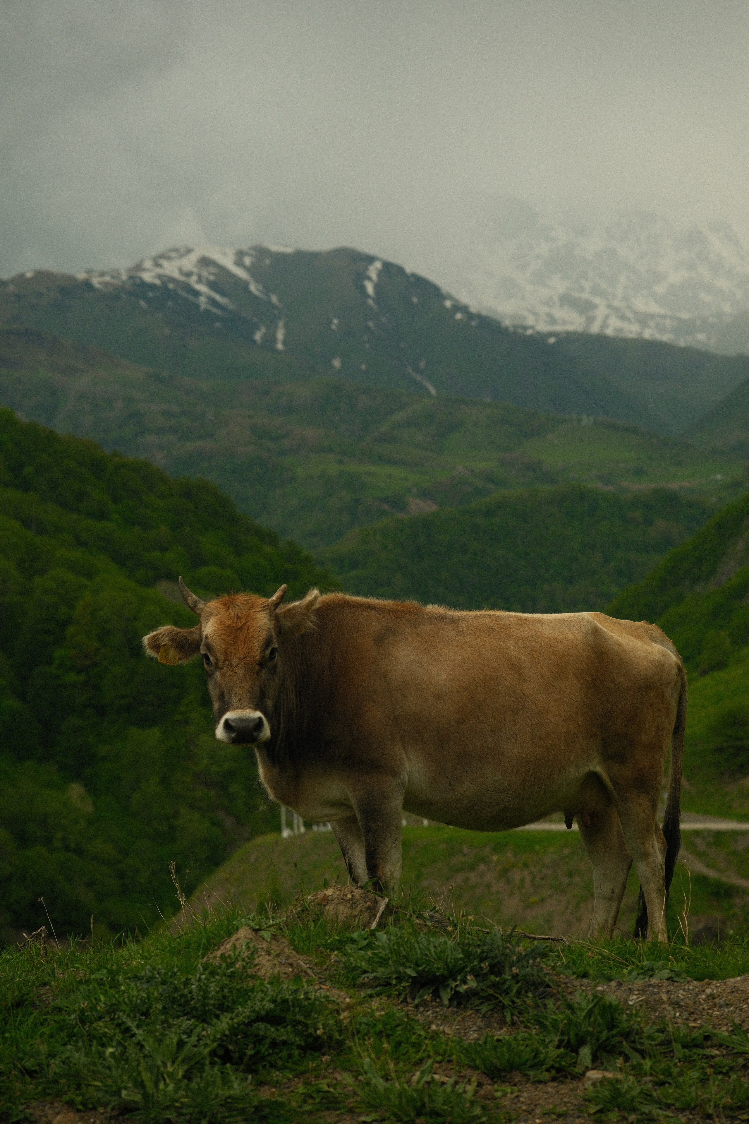 Georgia. Creative travel photographer — Berg Daria