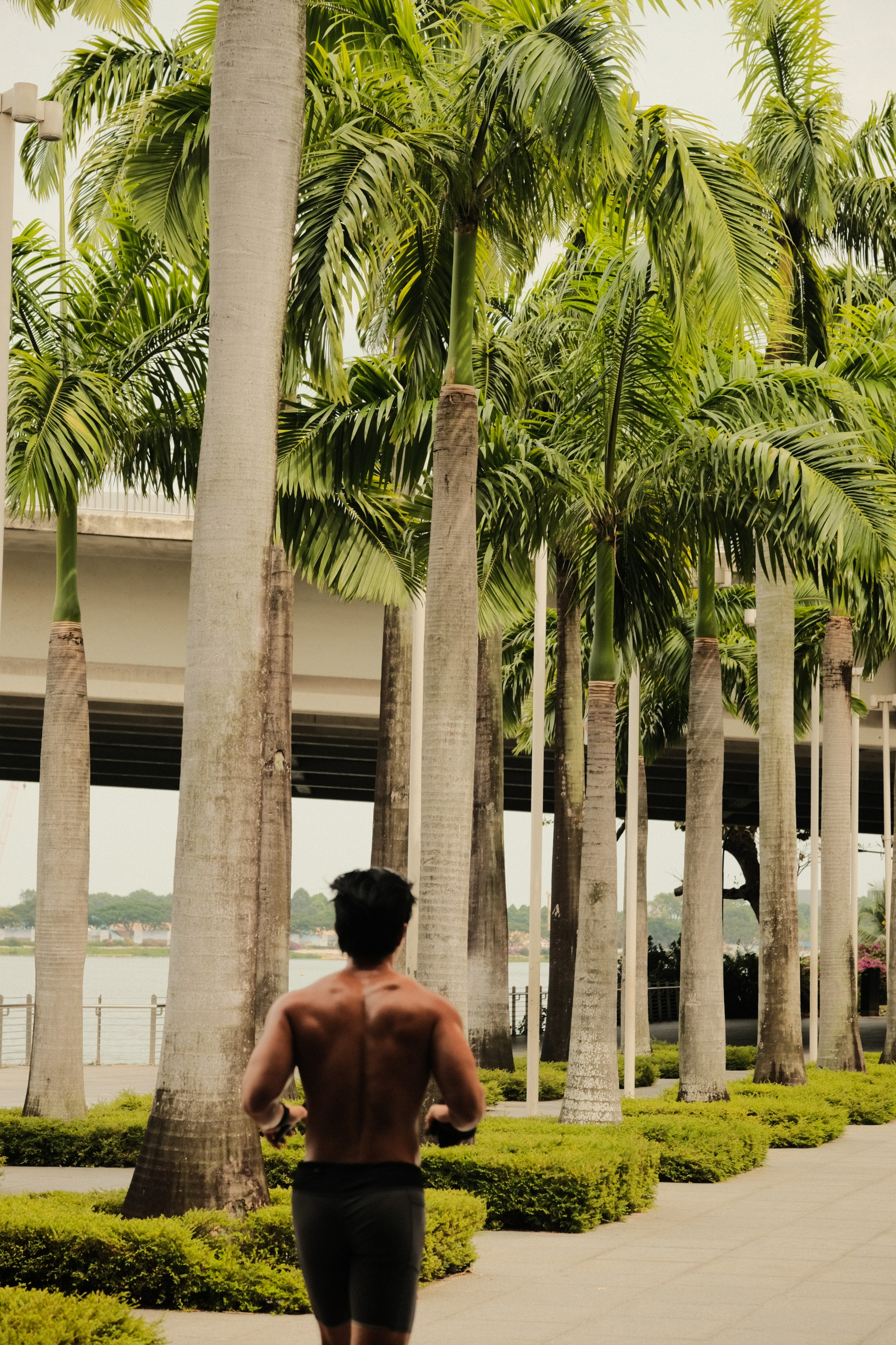 Singapore. Creative travel photographer — Berg Daria