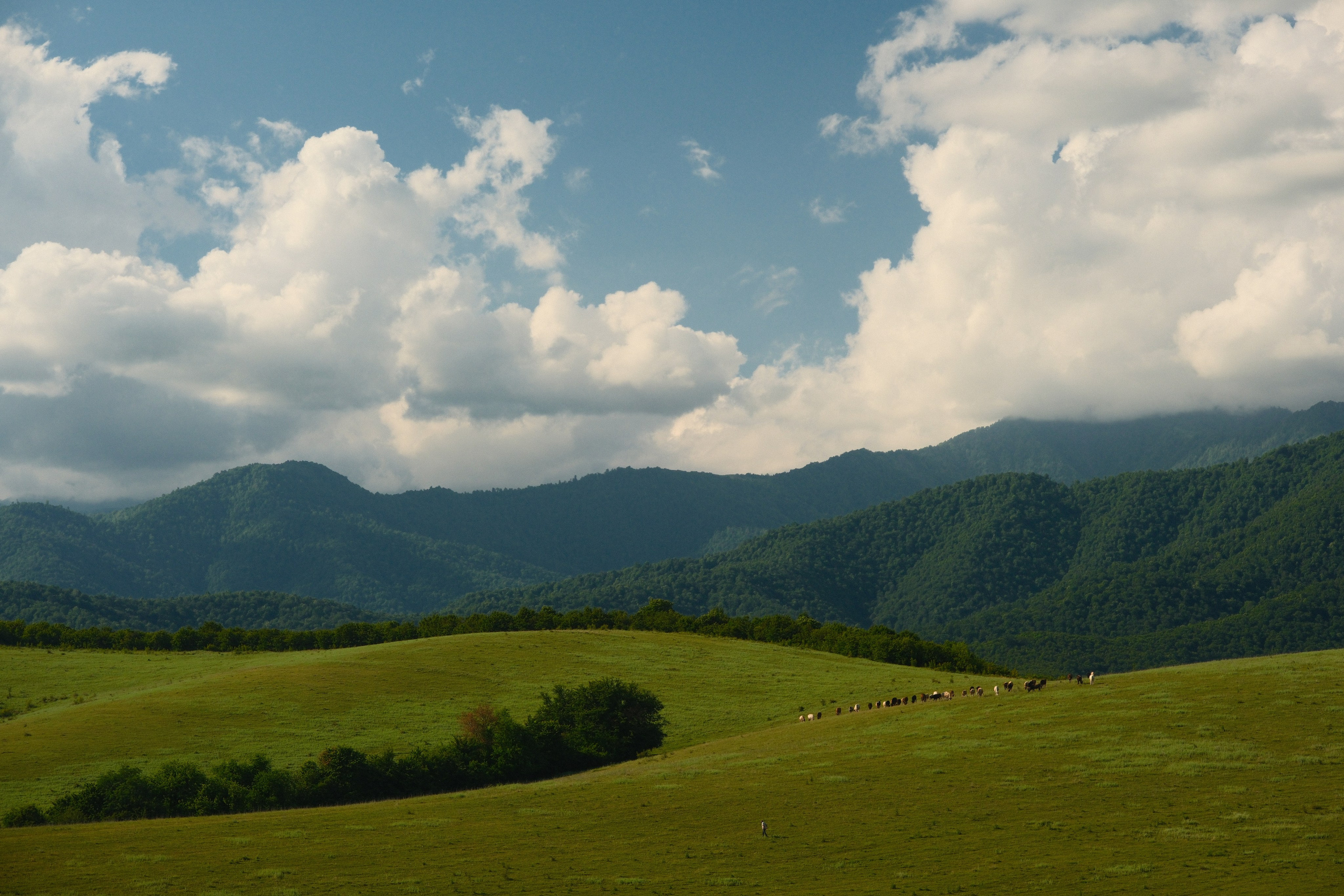 Georgia. Creative travel photographer — Berg Daria