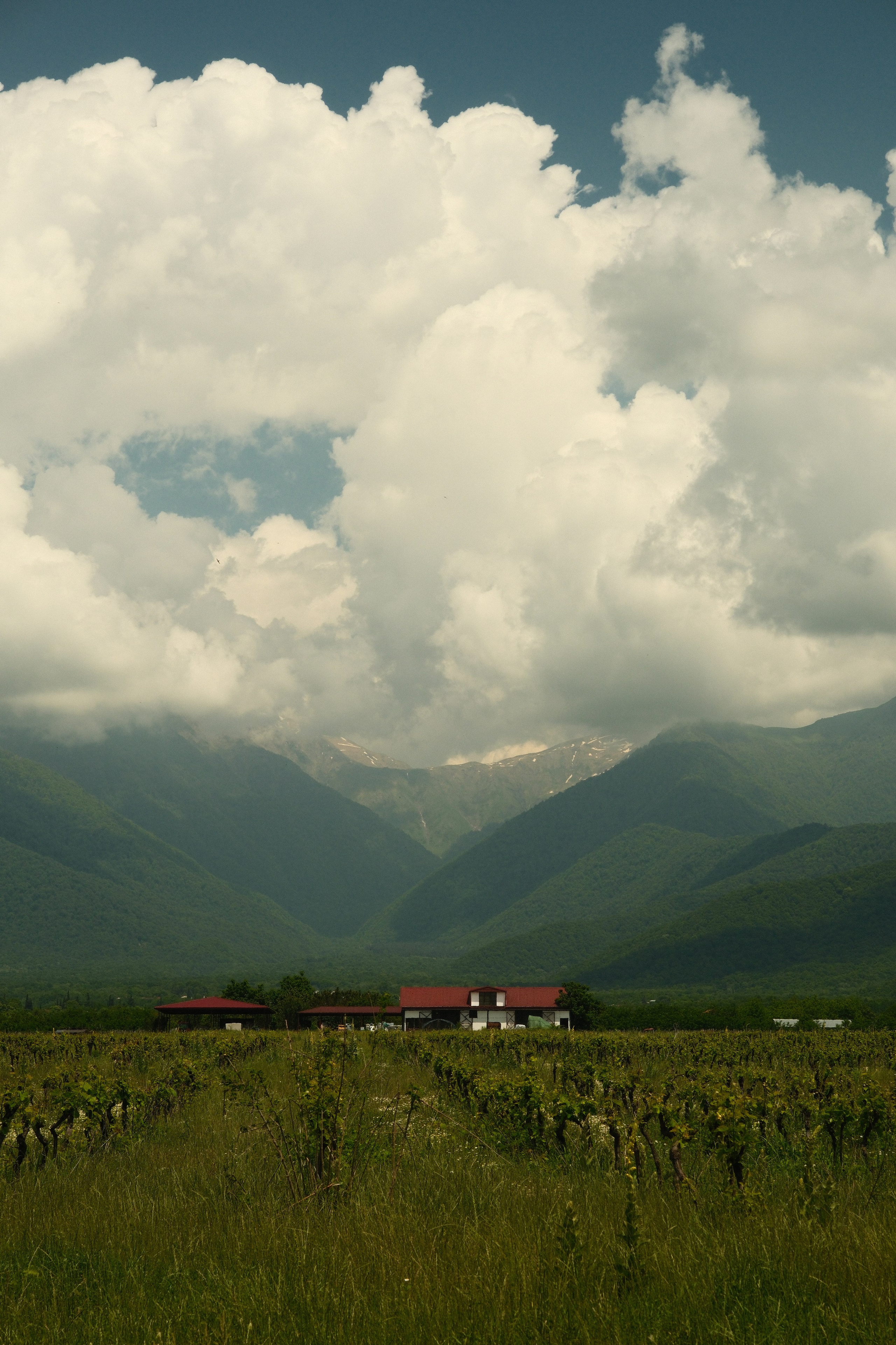 Georgia. Creative travel photographer — Berg Daria