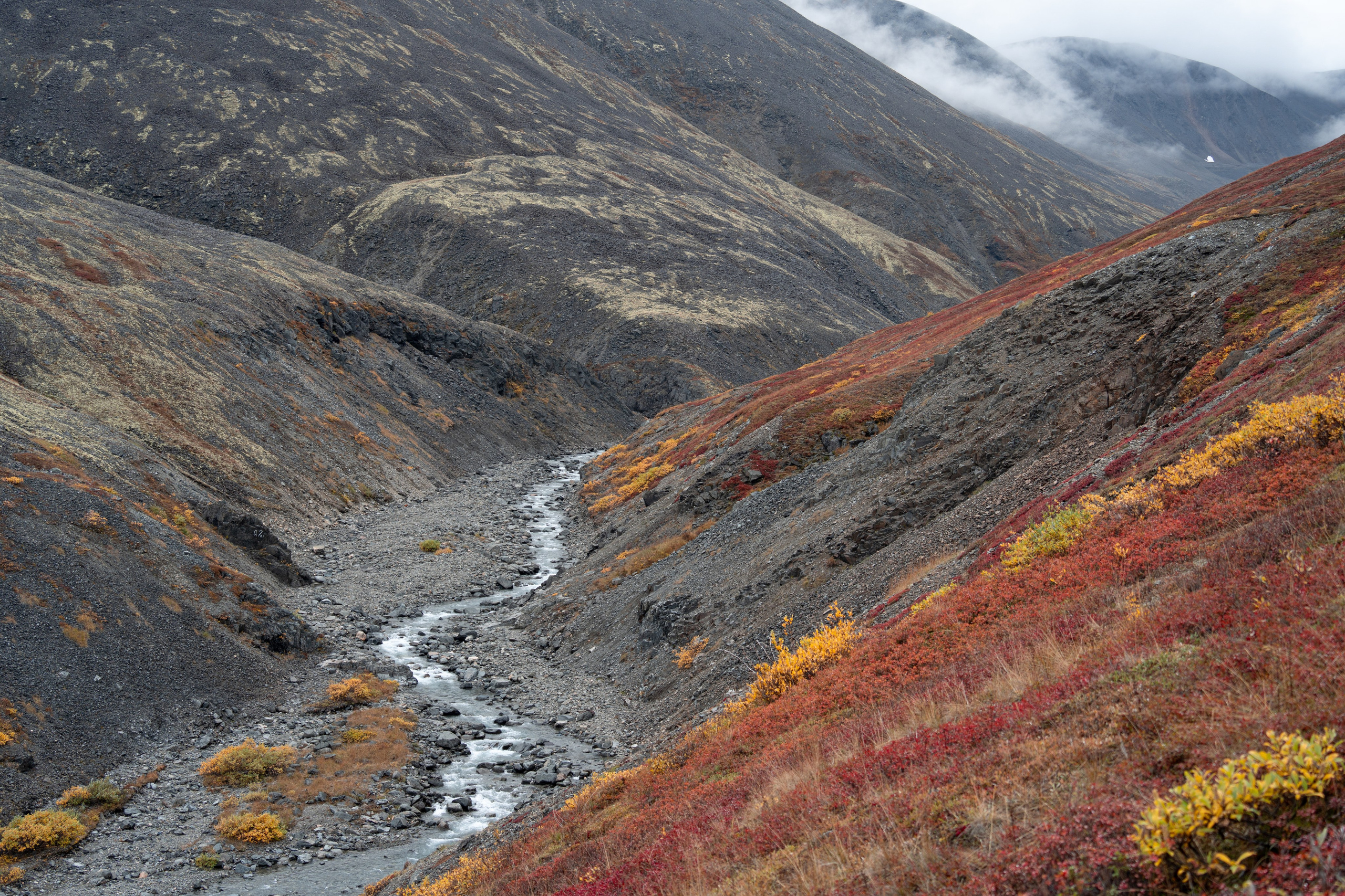 Чукотка. Gusarov Travel Photography
