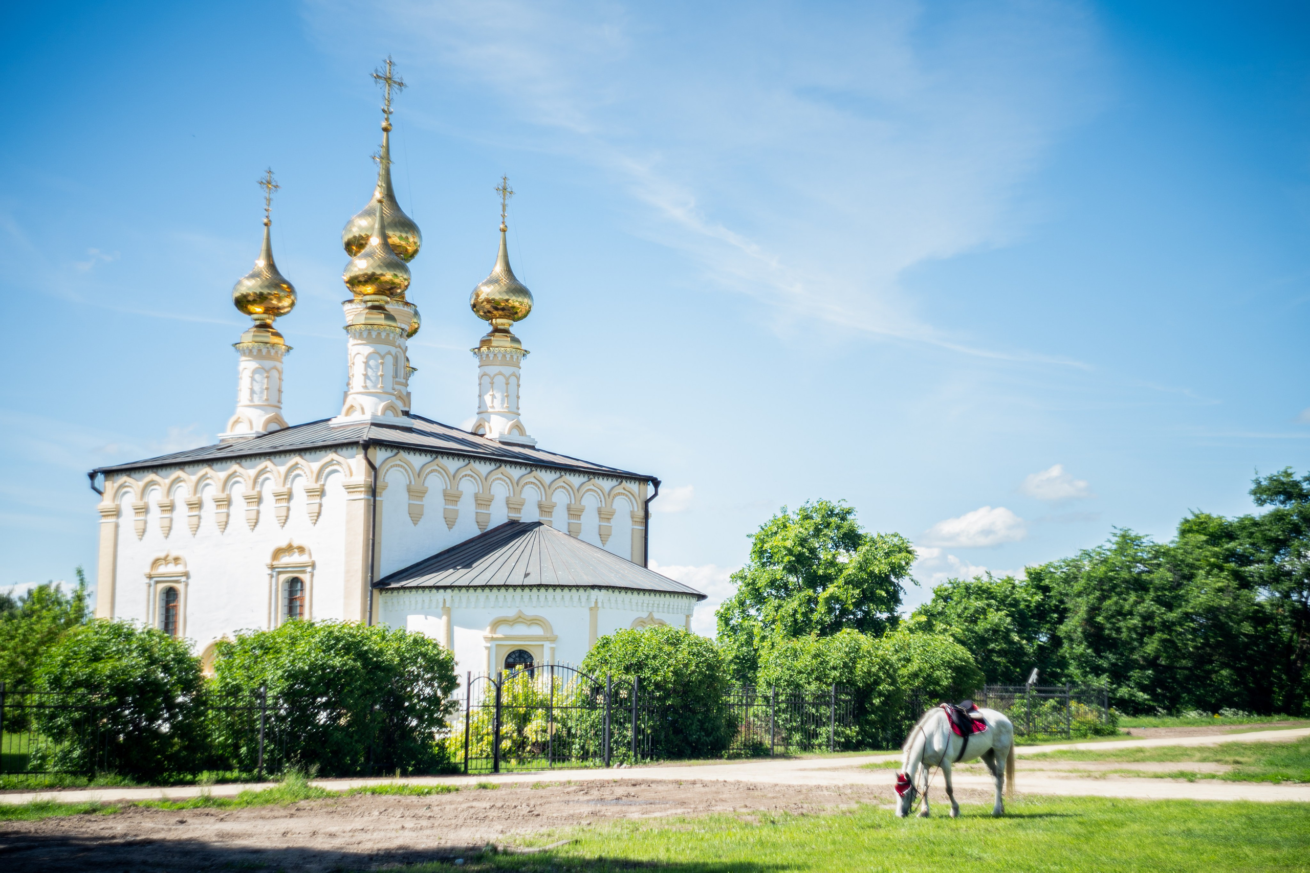 Суздаль 2024. Легкая фотография