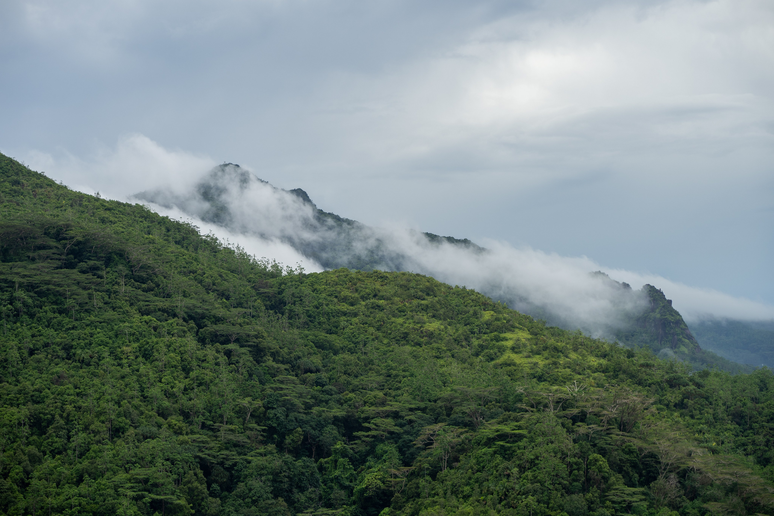 Сейшелы и Дубай 2024